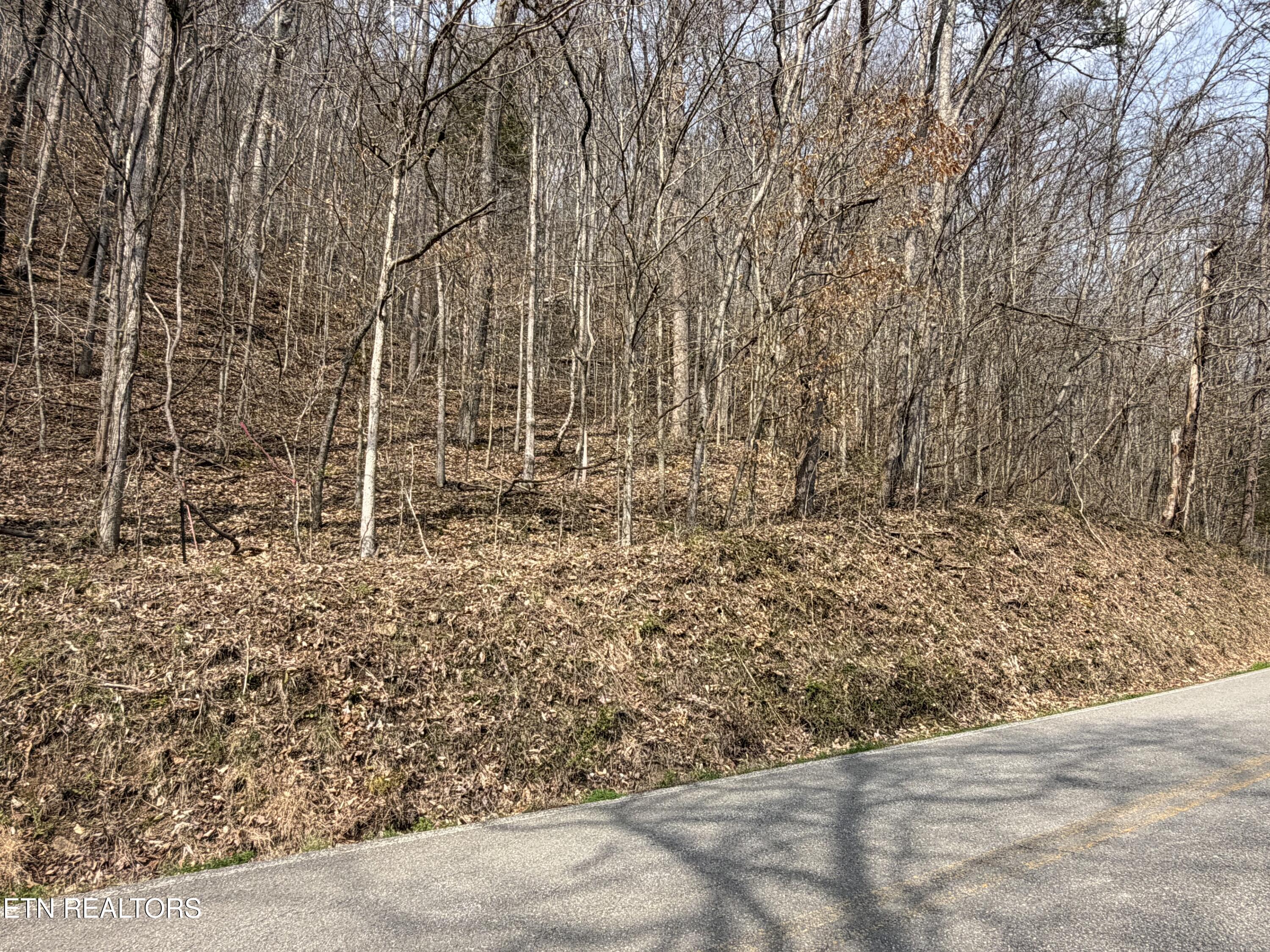 War Creek Road Thorn Hill TN 37881