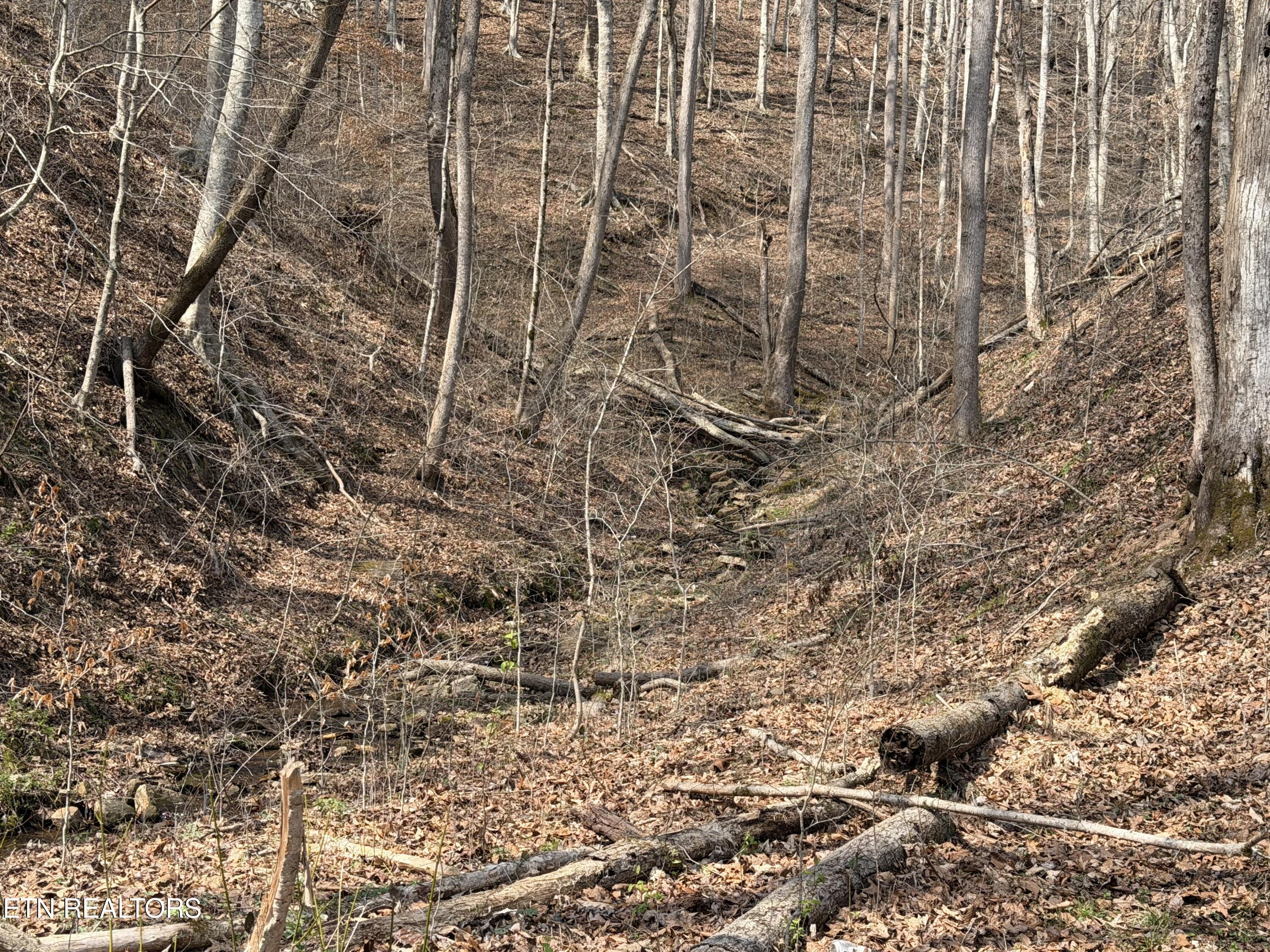War Creek Road Thorn Hill TN 37881