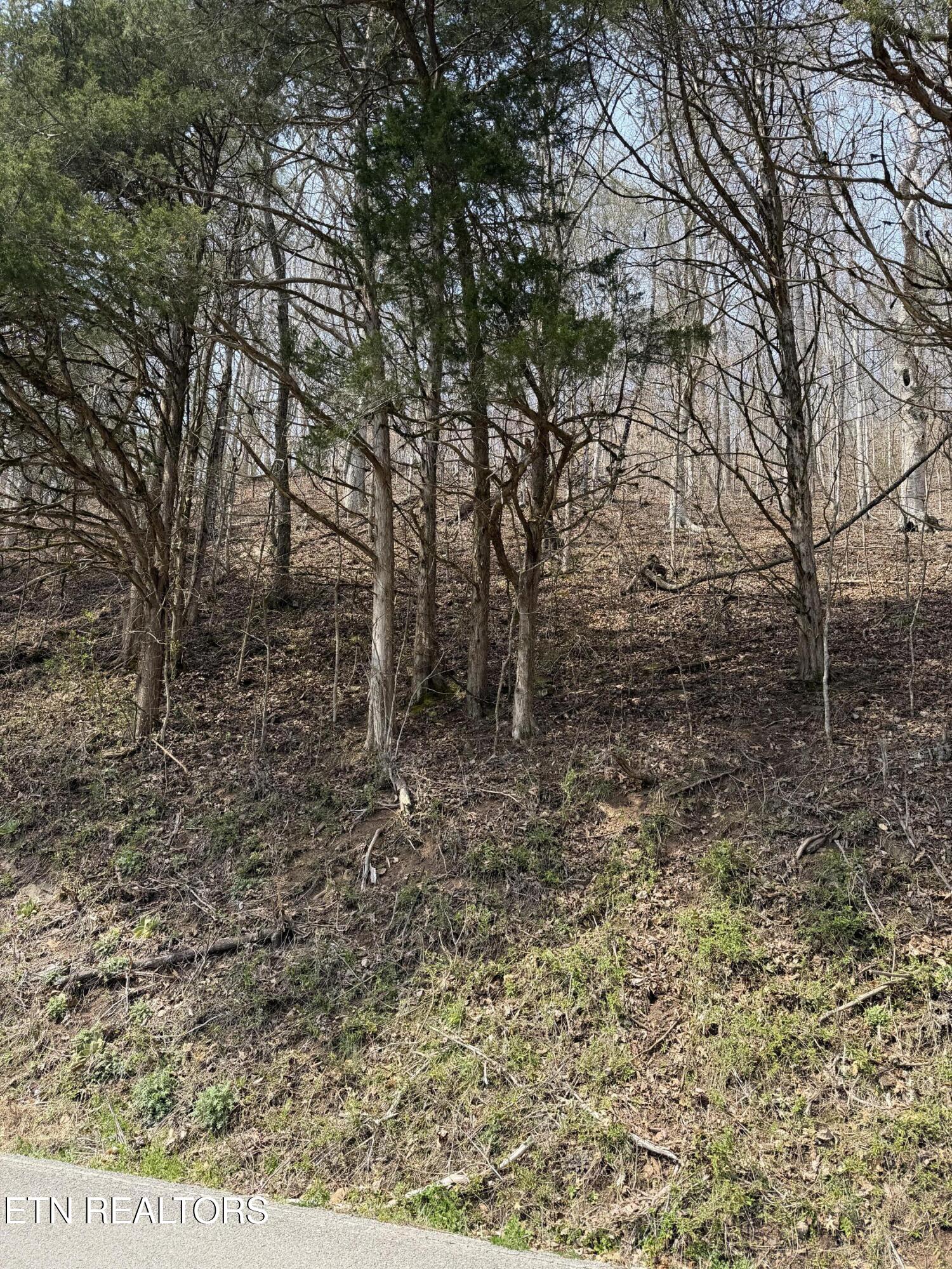 War Creek Road Thorn Hill TN 37881