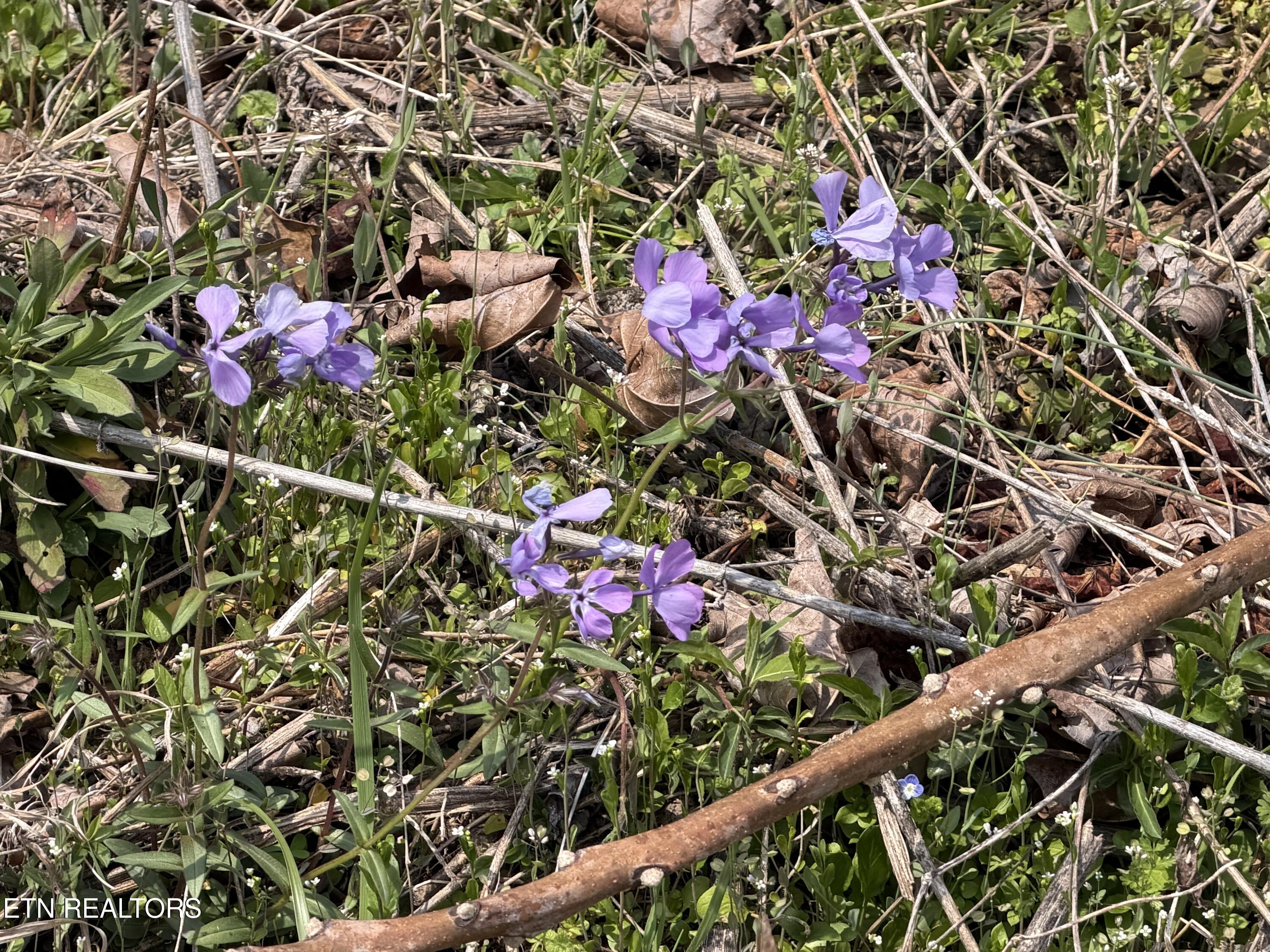 War Creek Road Thorn Hill TN 37881