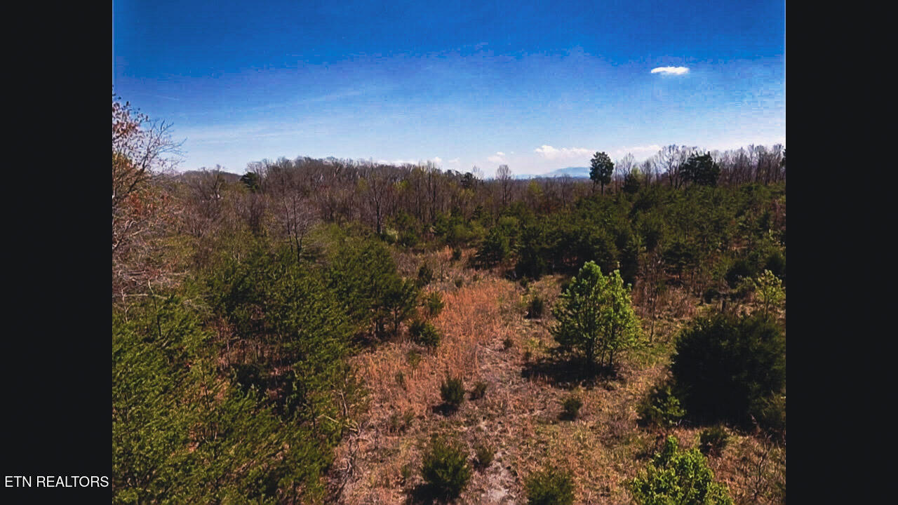 317 Mountain View Drive Vonore TN 37885