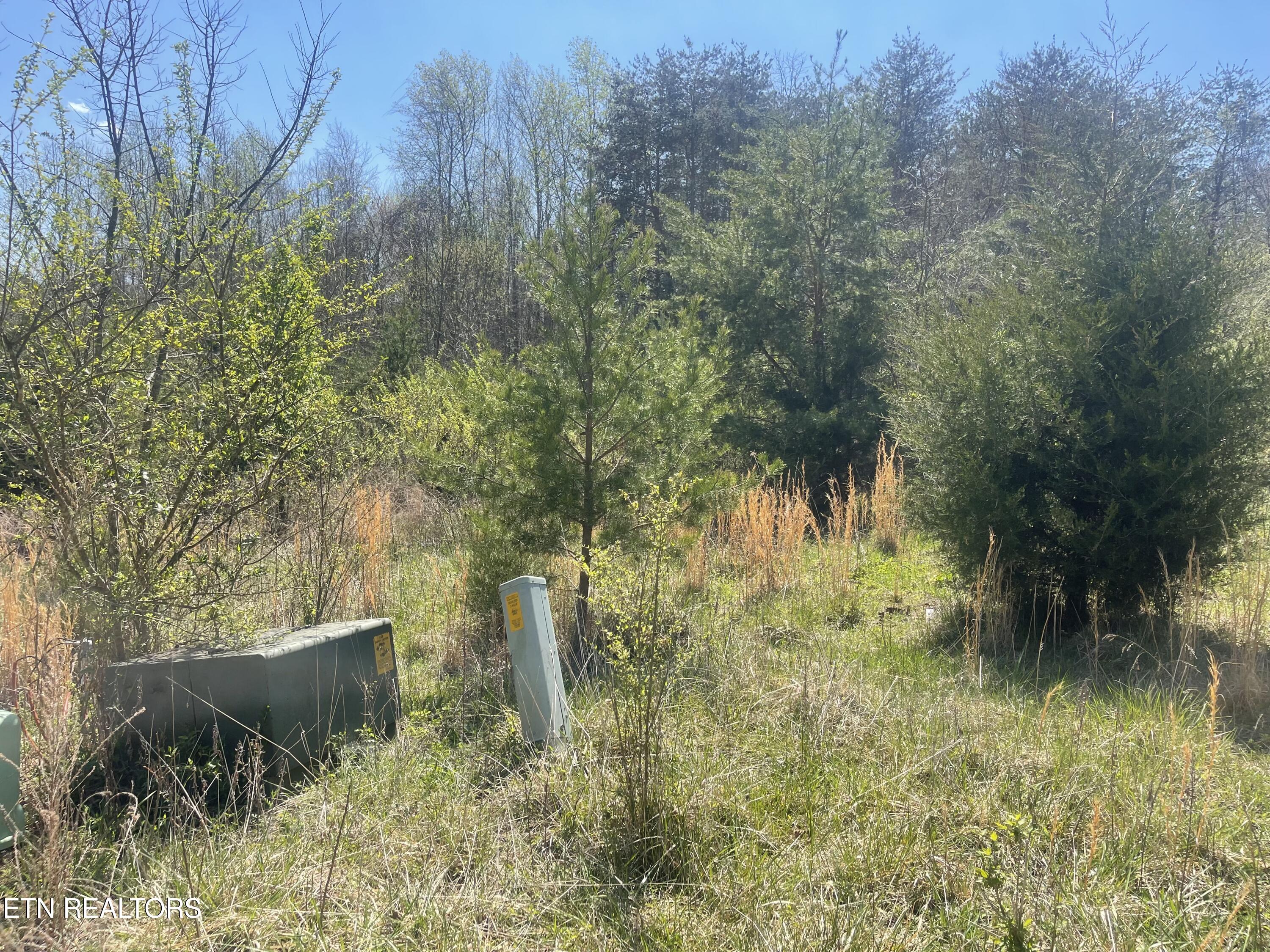 317 Mountain View Drive Vonore TN 37885
