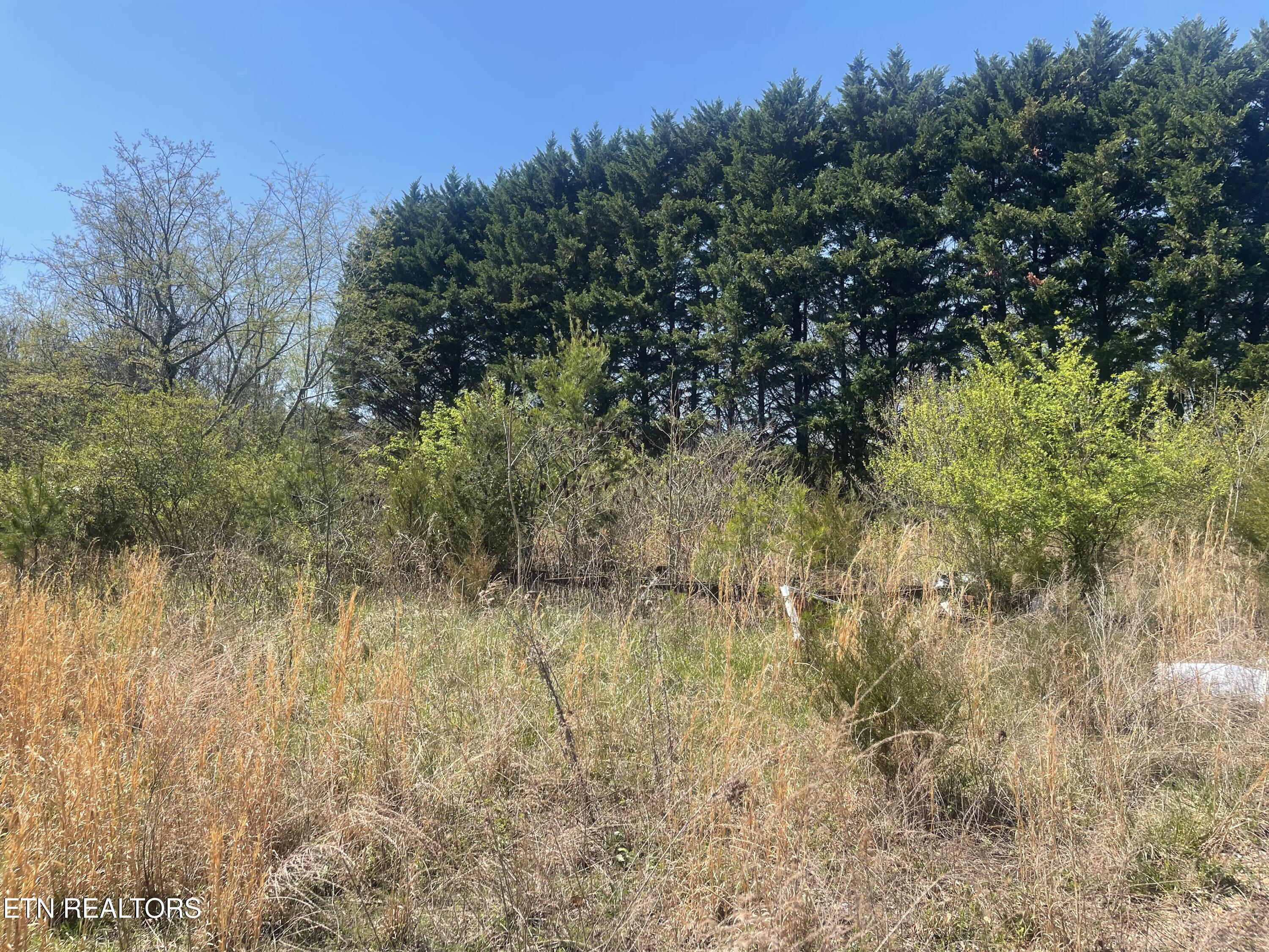 317 Mountain View Drive Vonore TN 37885