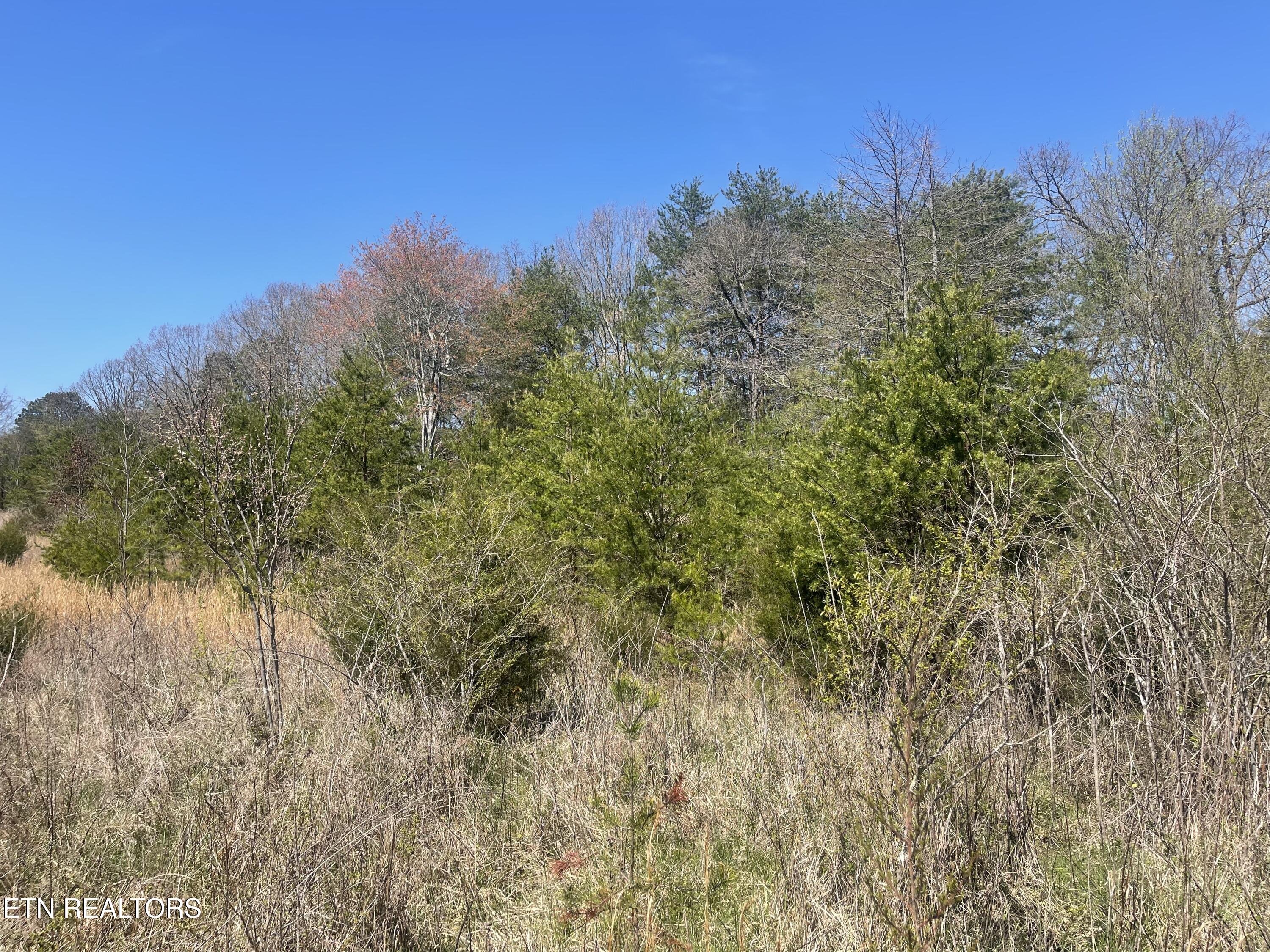 317 Mountain View Drive Vonore TN 37885
