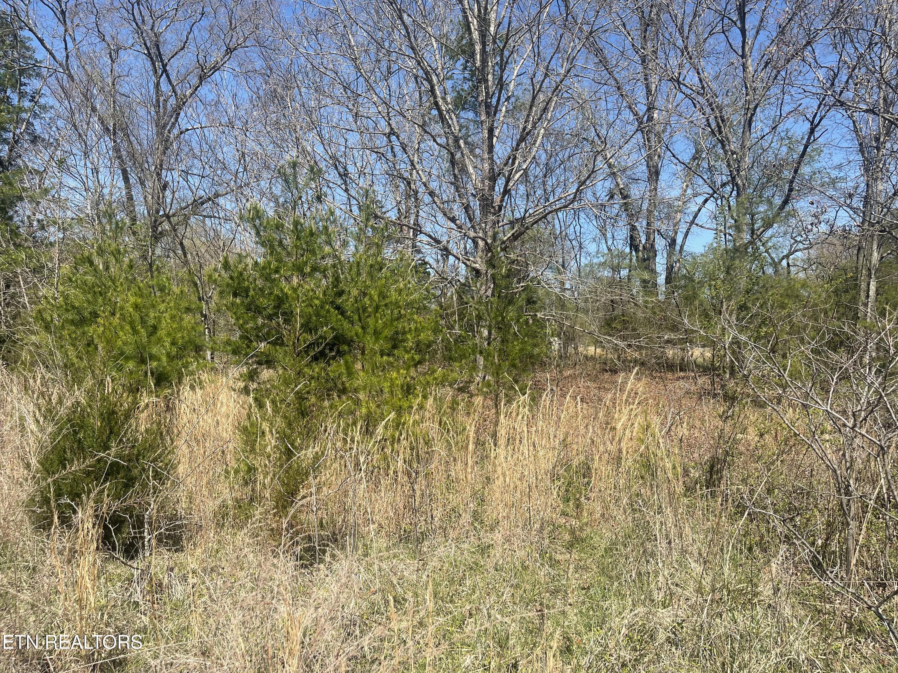 317 Mountain View Drive Vonore TN 37885