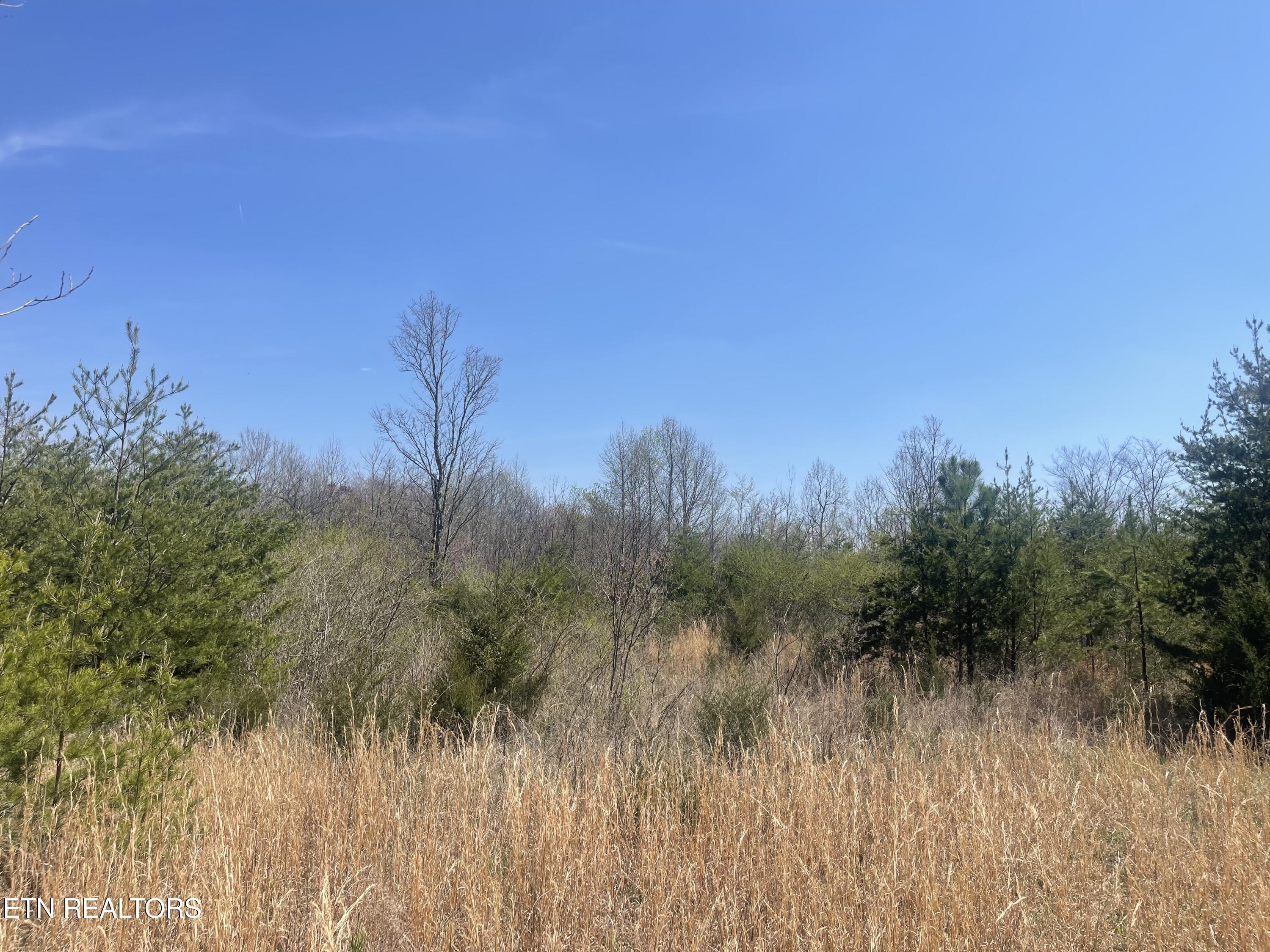 317 Mountain View Drive Vonore TN 37885