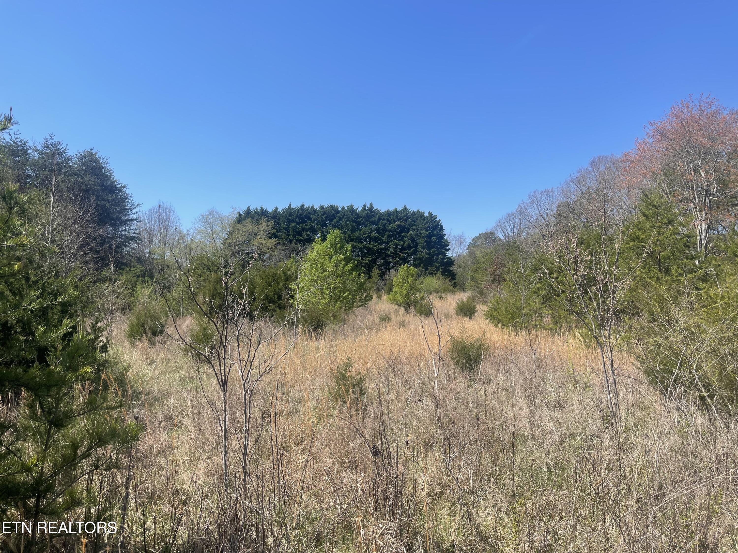 317 Mountain View Drive Vonore TN 37885
