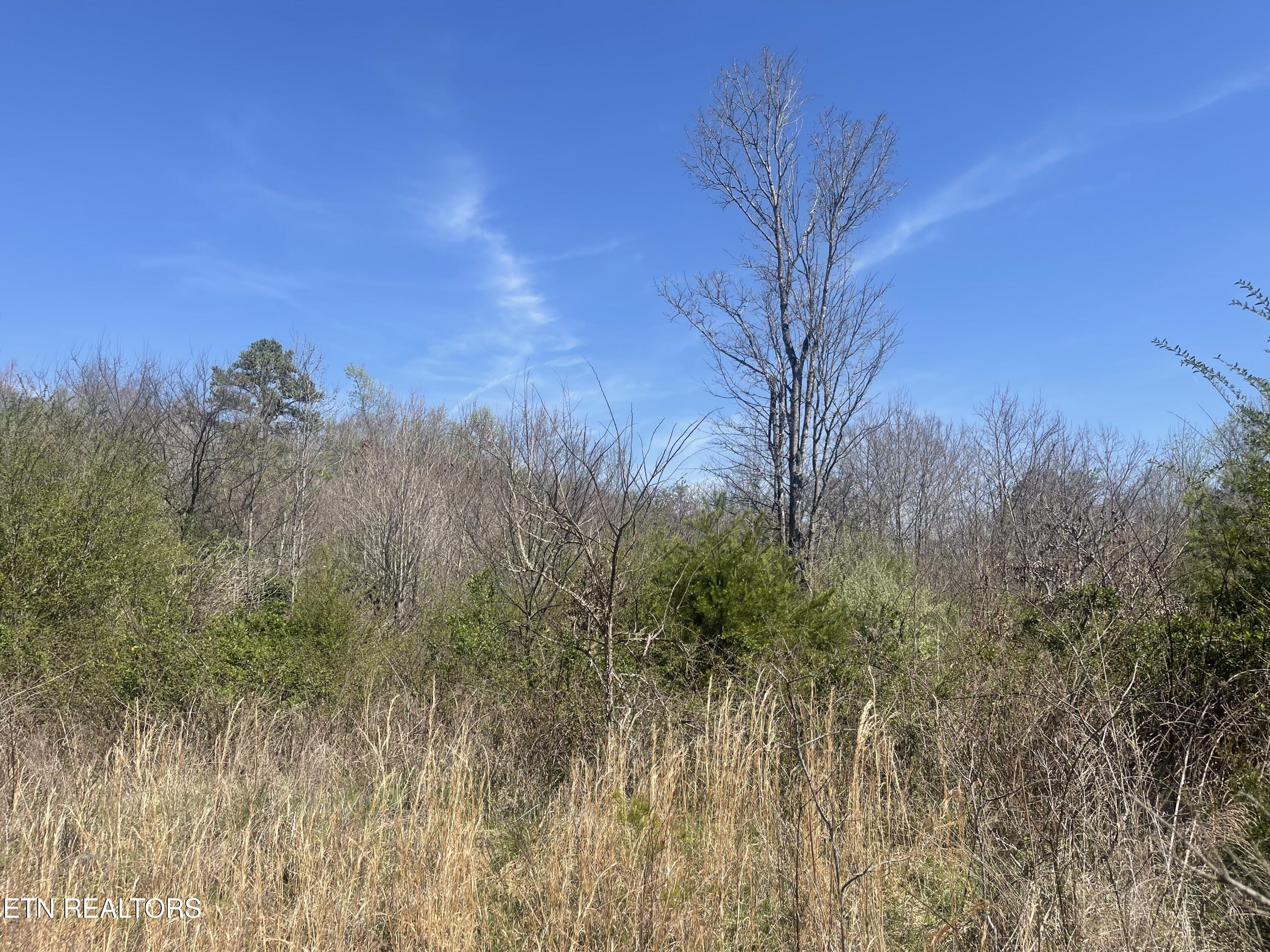 317 Mountain View Drive Vonore TN 37885