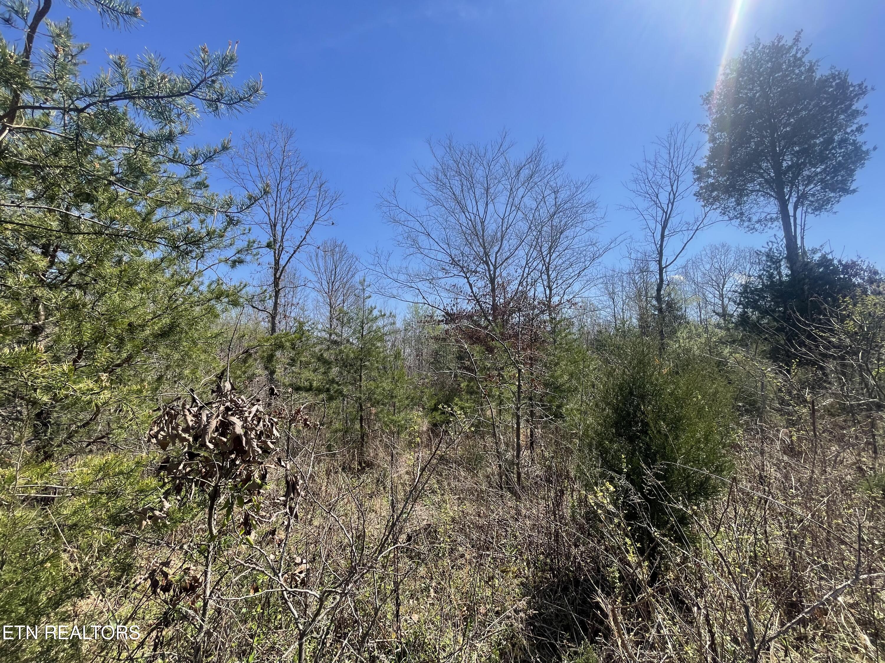 317 Mountain View Drive Vonore TN 37885