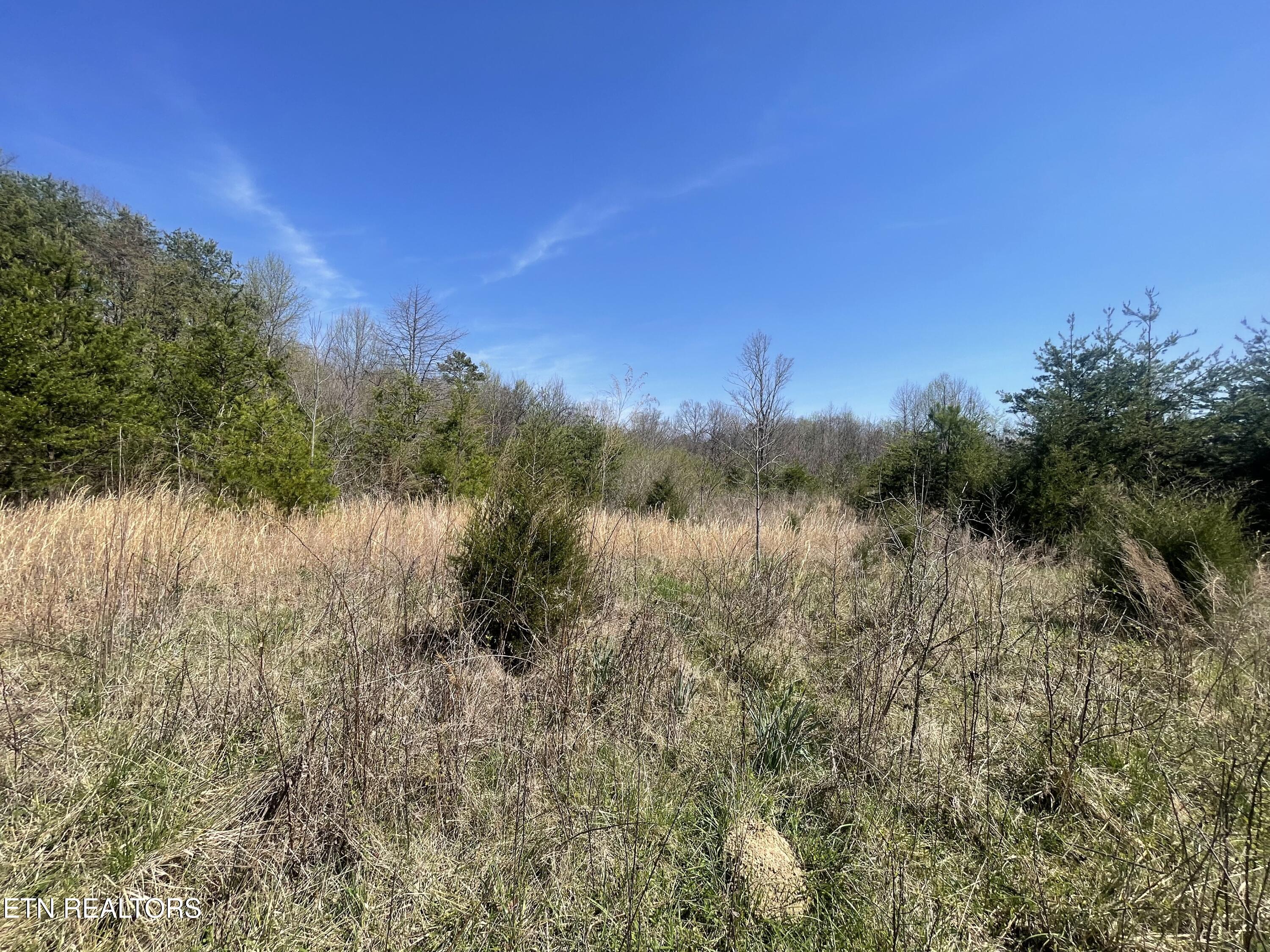 317 Mountain View Drive Vonore TN 37885