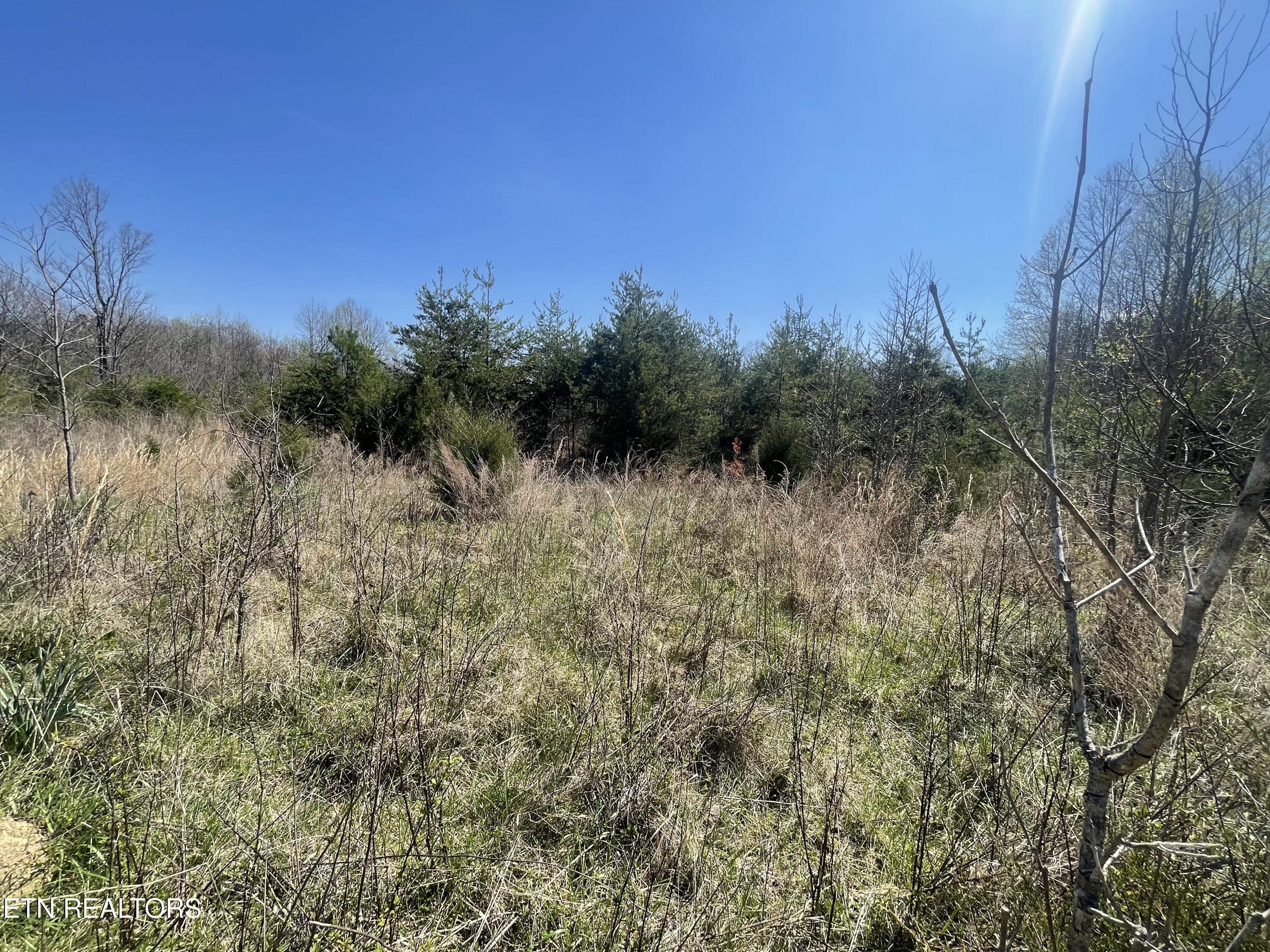 317 Mountain View Drive Vonore TN 37885