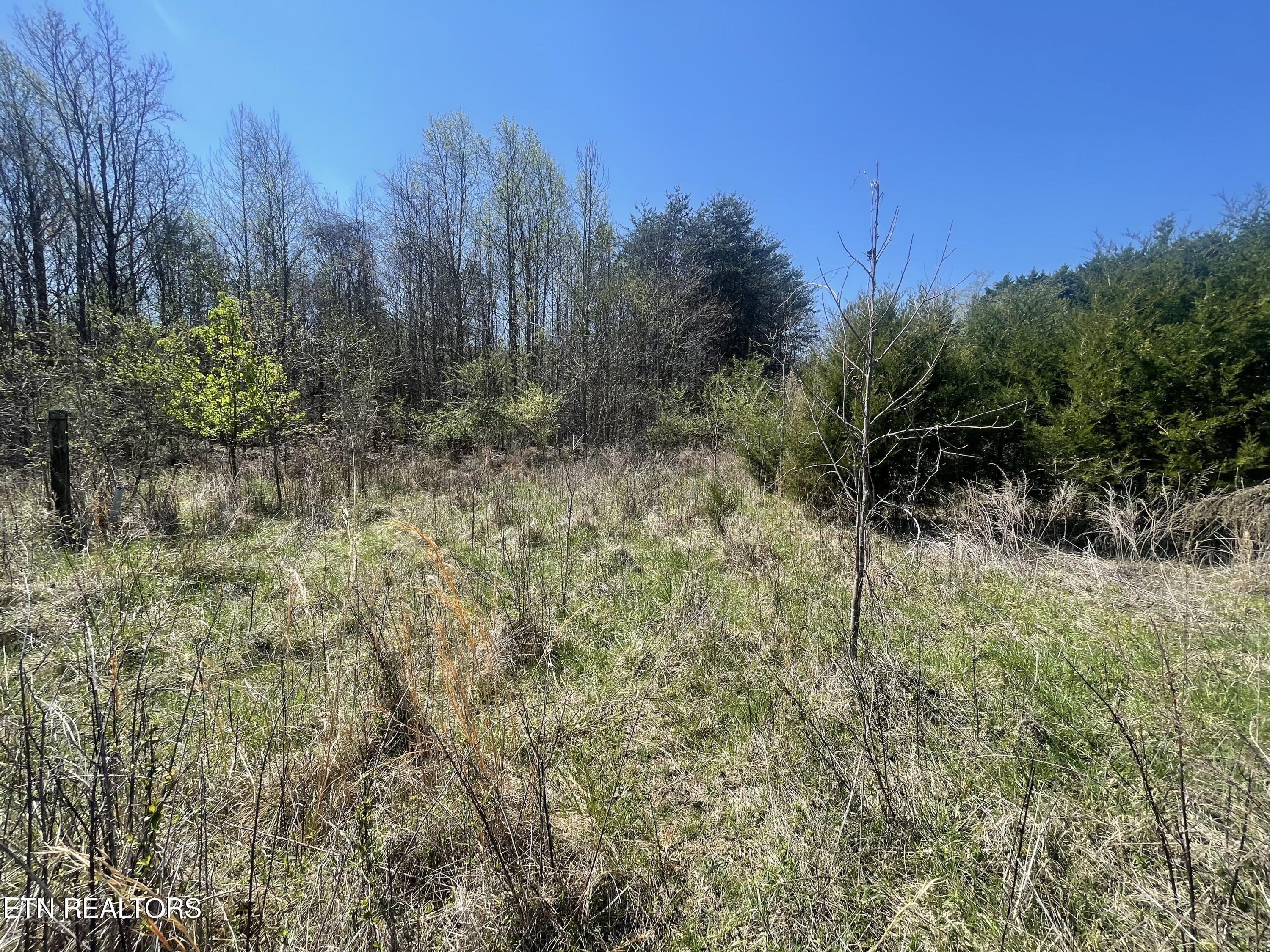 317 Mountain View Drive Vonore TN 37885