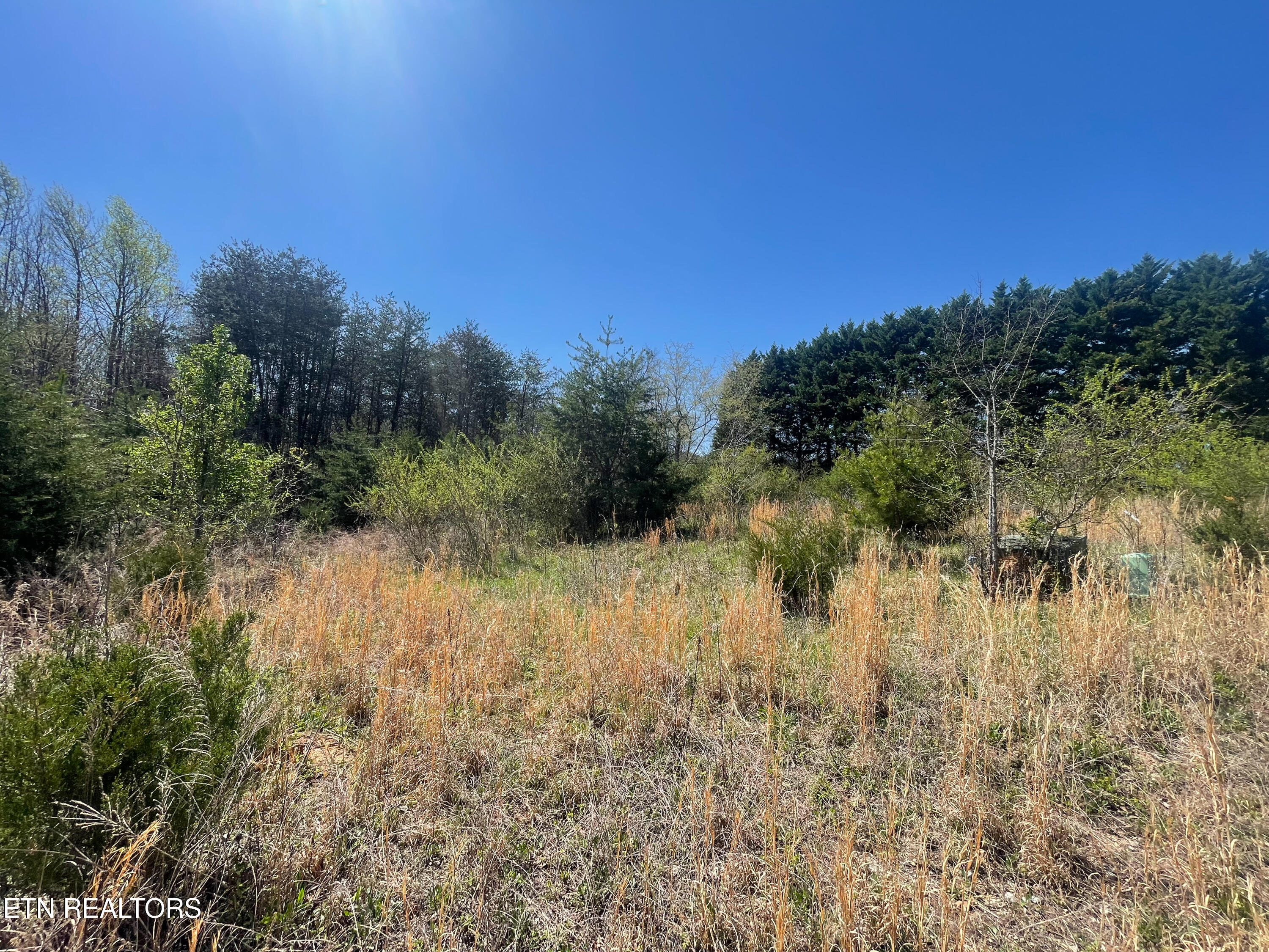 317 Mountain View Drive Vonore TN 37885