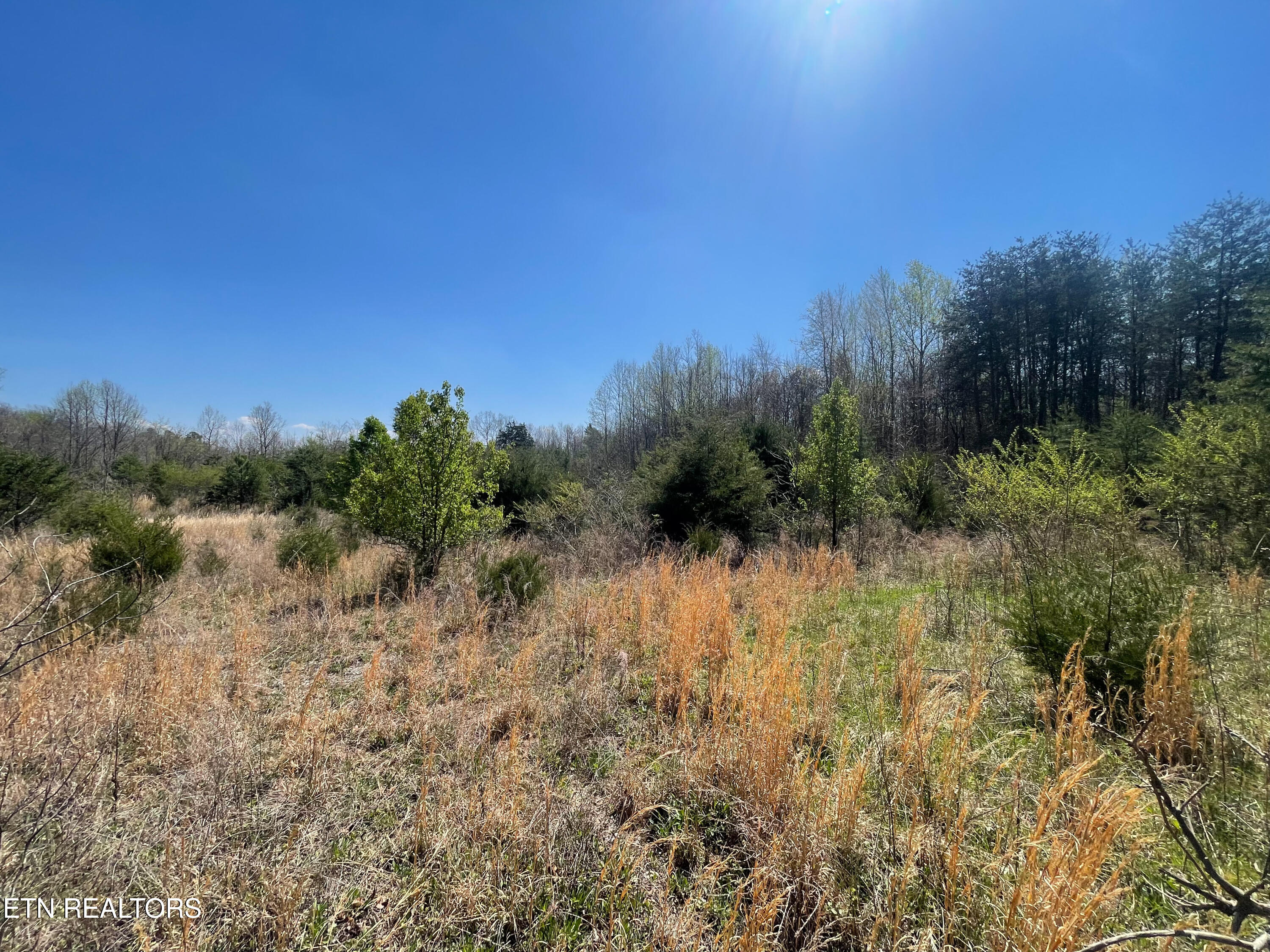 317 Mountain View Drive Vonore TN 37885