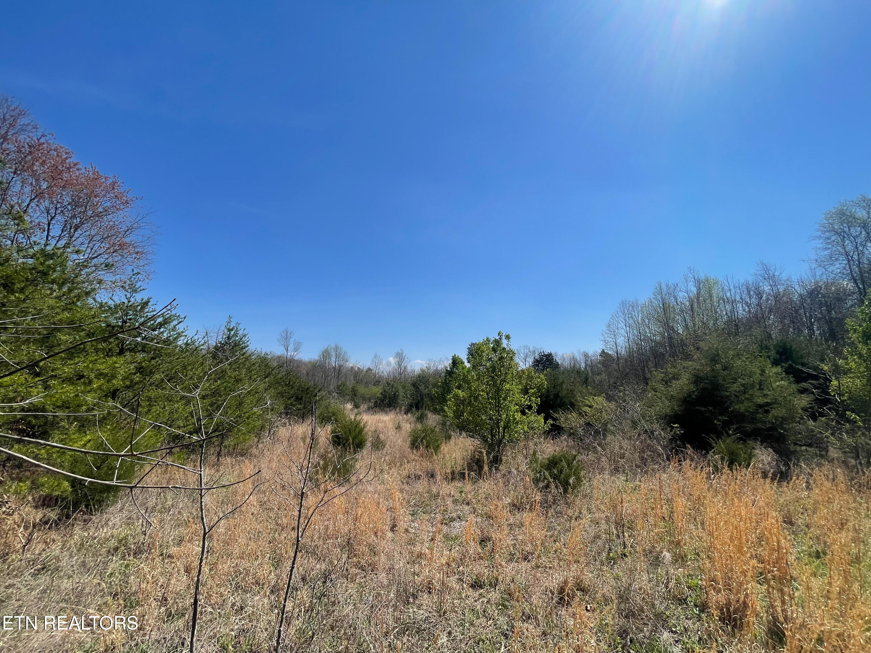 317 Mountain View Drive Vonore TN 37885