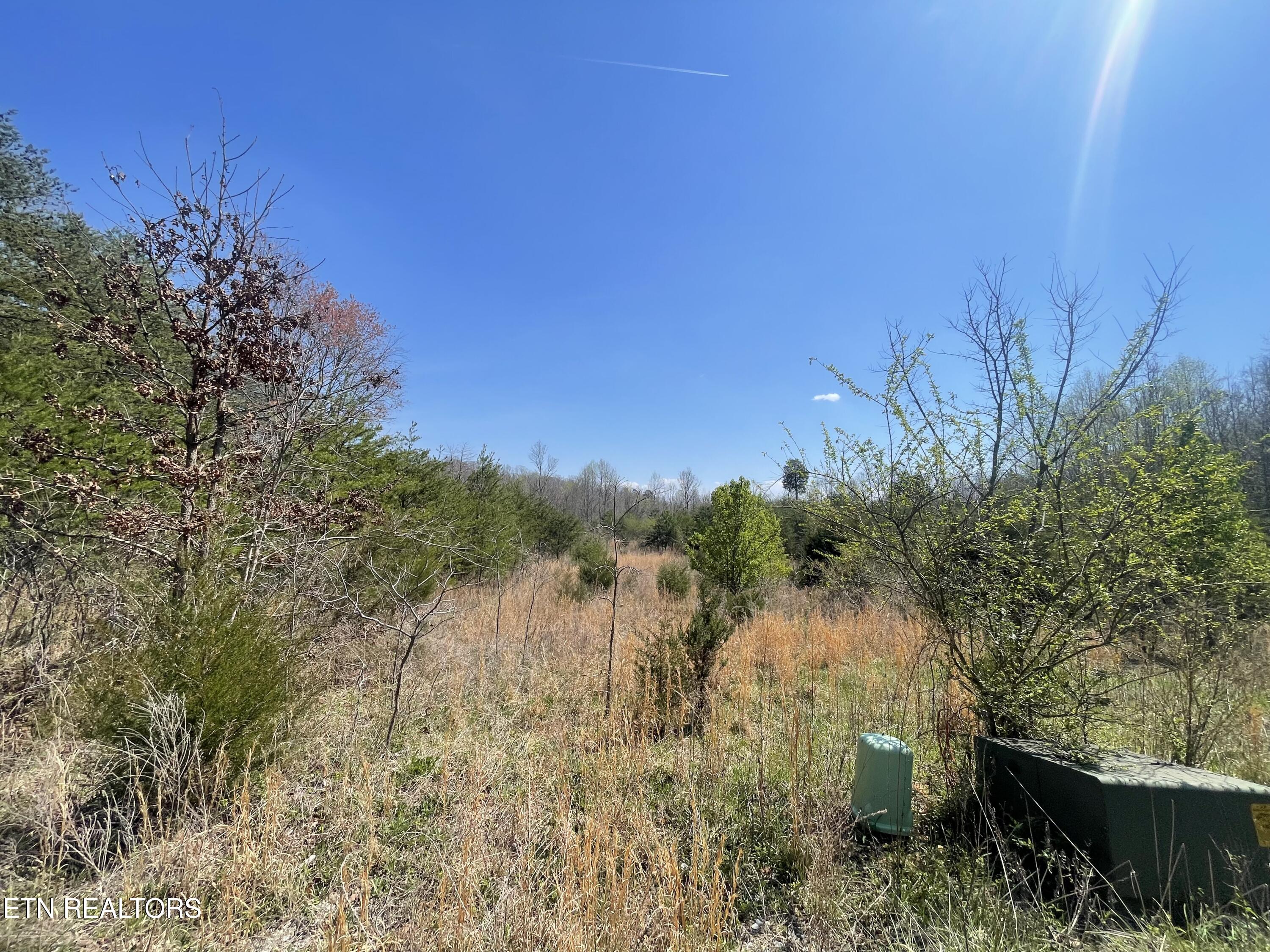 317 Mountain View Drive Vonore TN 37885