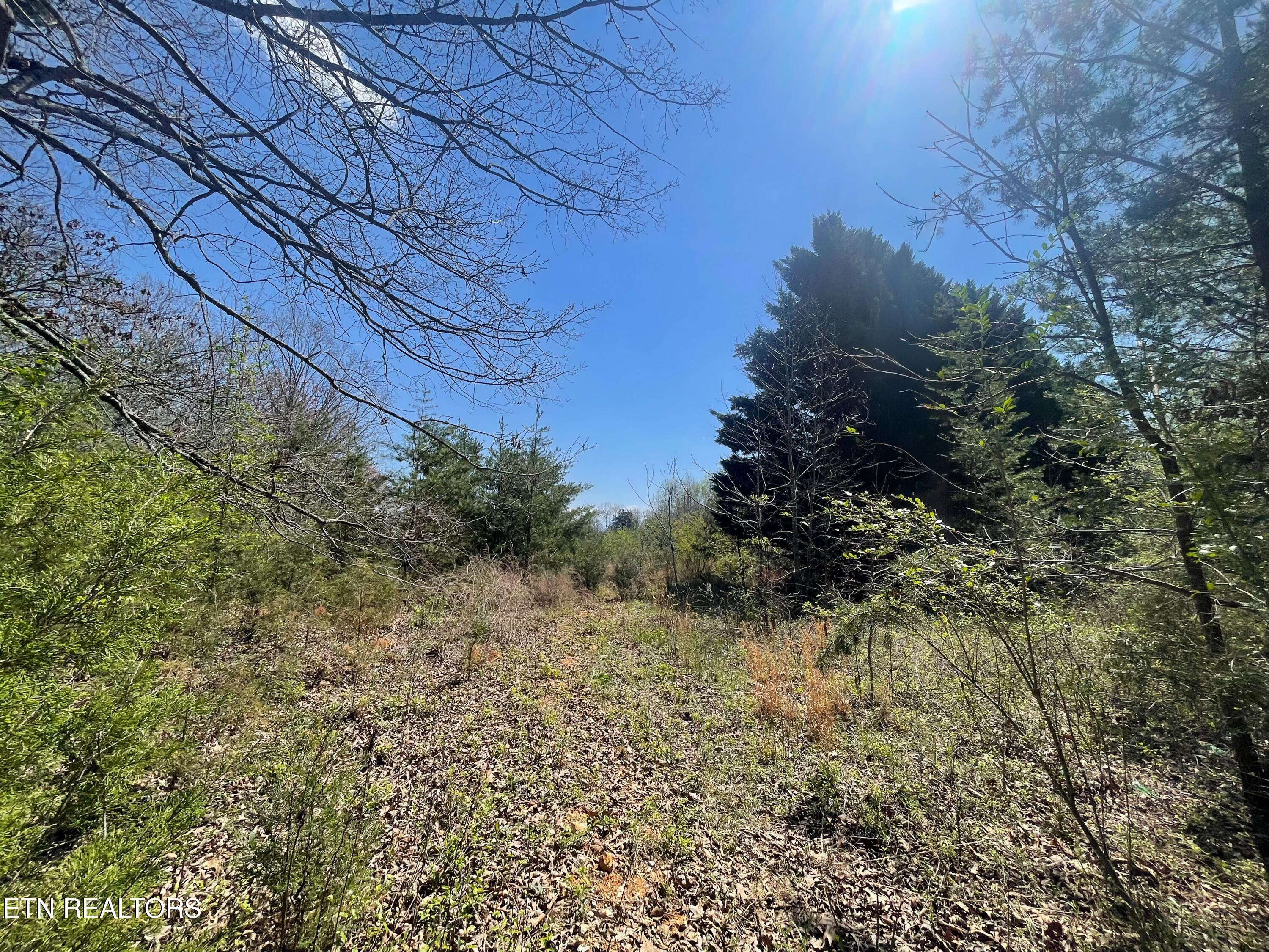 317 Mountain View Drive Vonore TN 37885