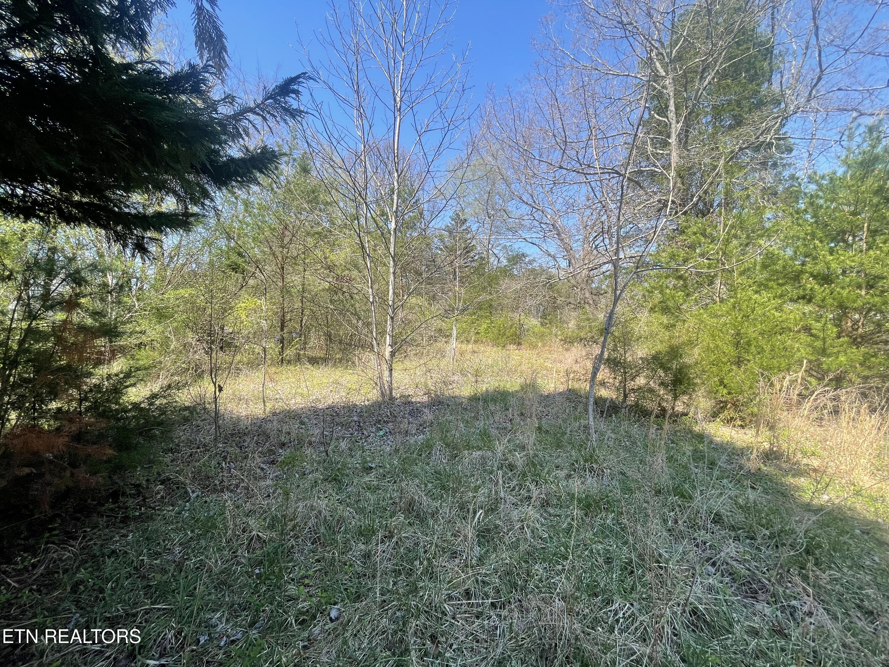 317 Mountain View Drive Vonore TN 37885