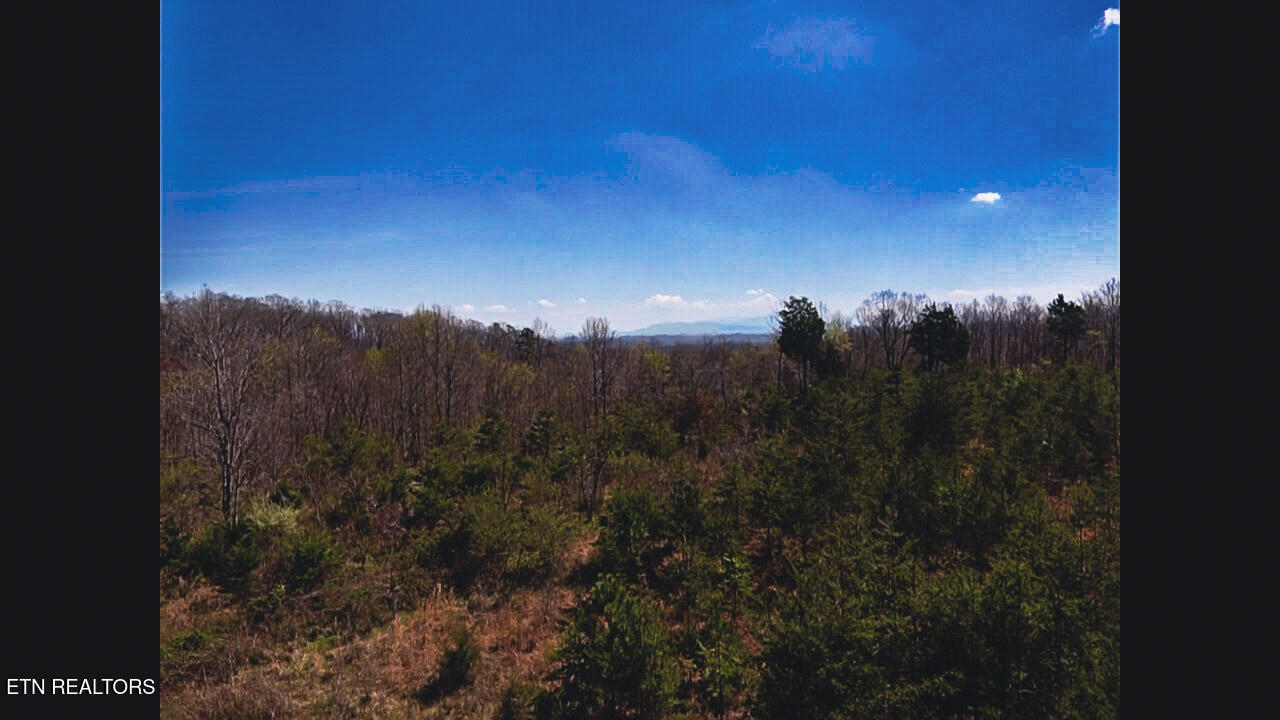 317 Mountain View Drive Vonore TN 37885
