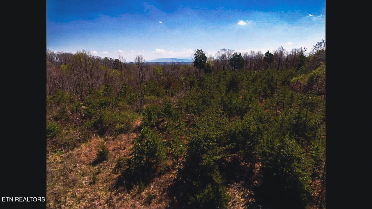 317 Mountain View Drive Vonore TN 37885