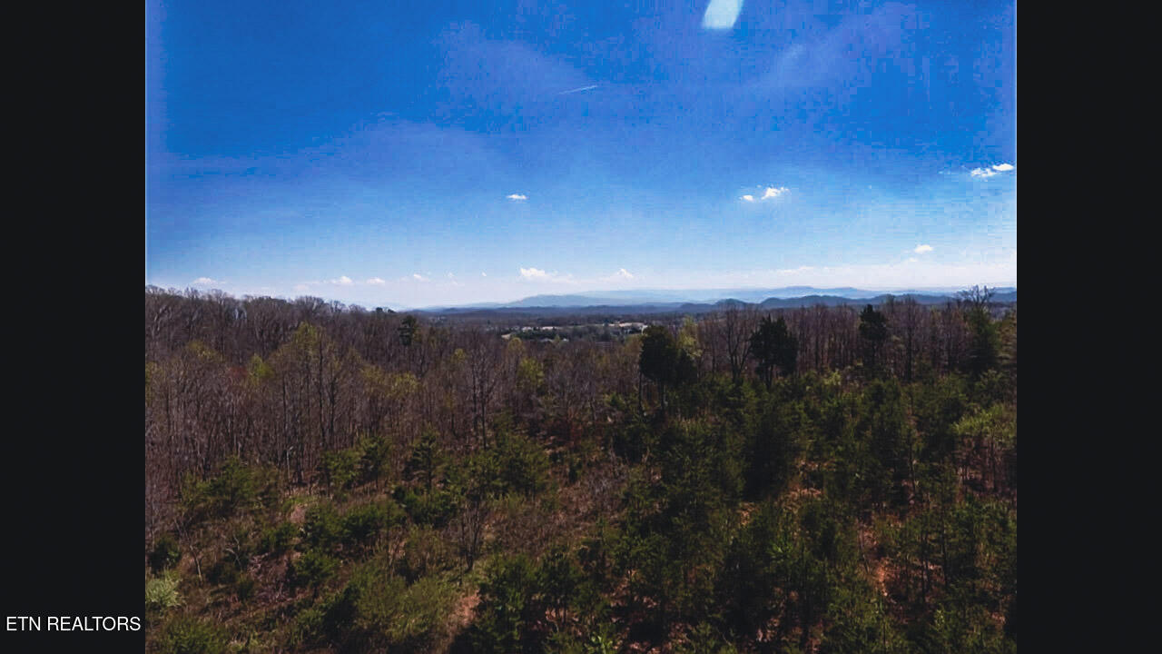 317 Mountain View Drive Vonore TN 37885