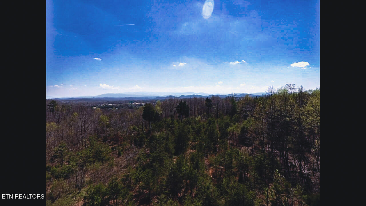 317 Mountain View Drive Vonore TN 37885