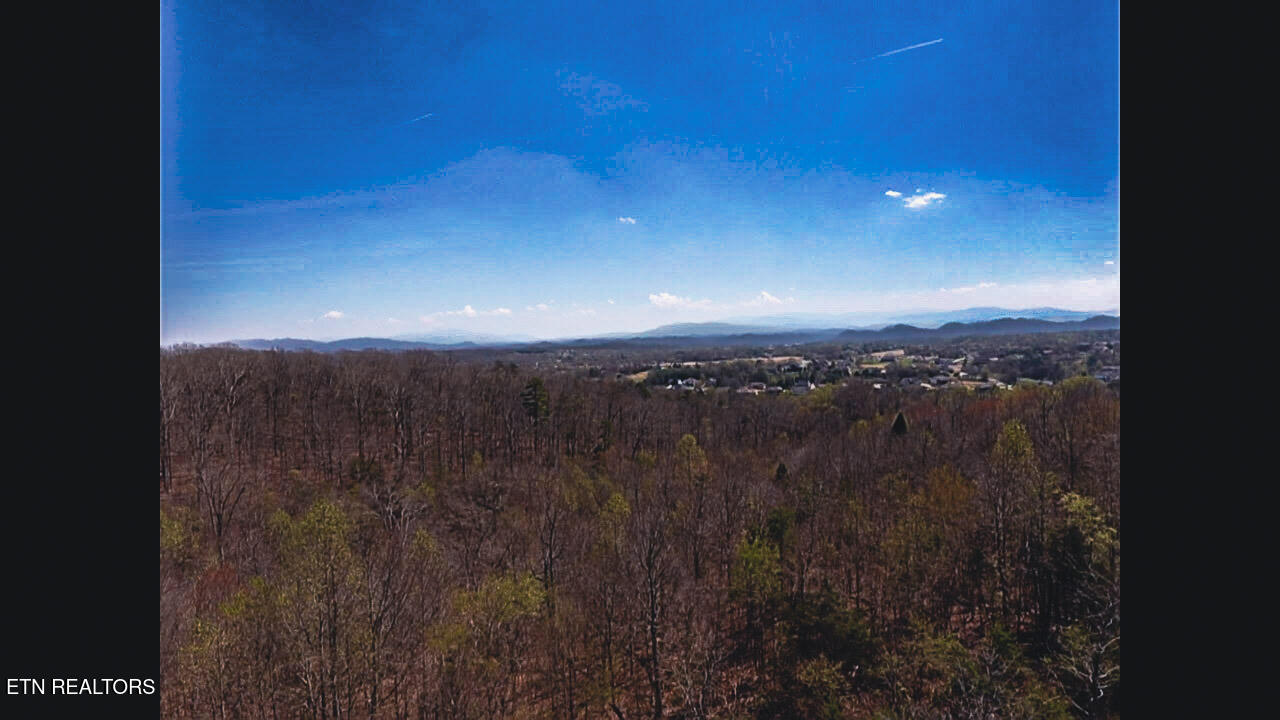 317 Mountain View Drive Vonore TN 37885