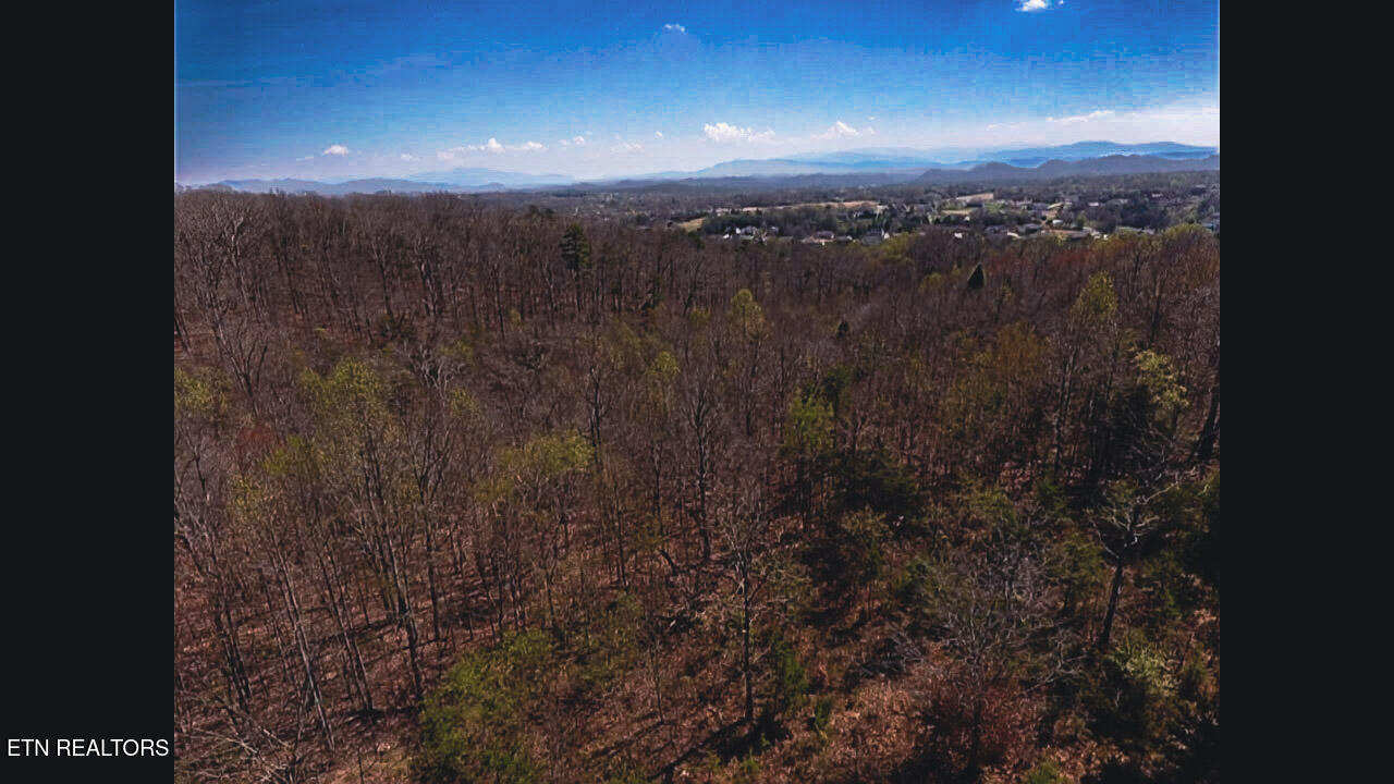 317 Mountain View Drive Vonore TN 37885