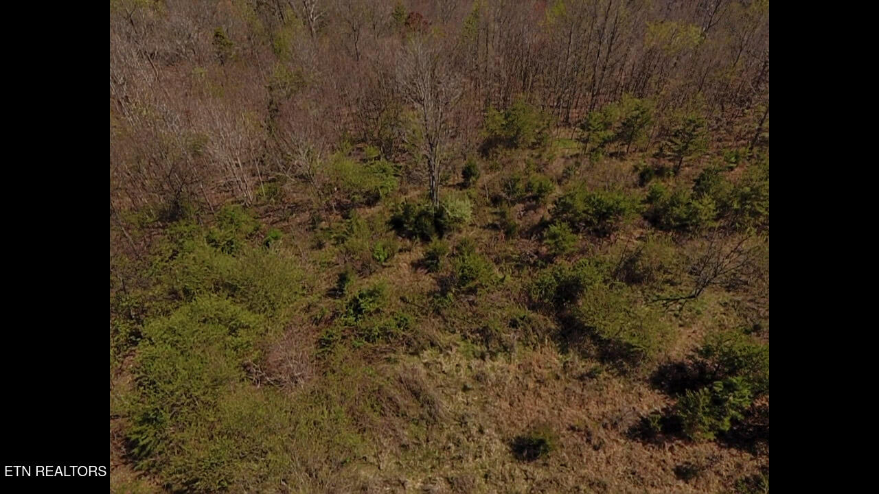 317 Mountain View Drive Vonore TN 37885