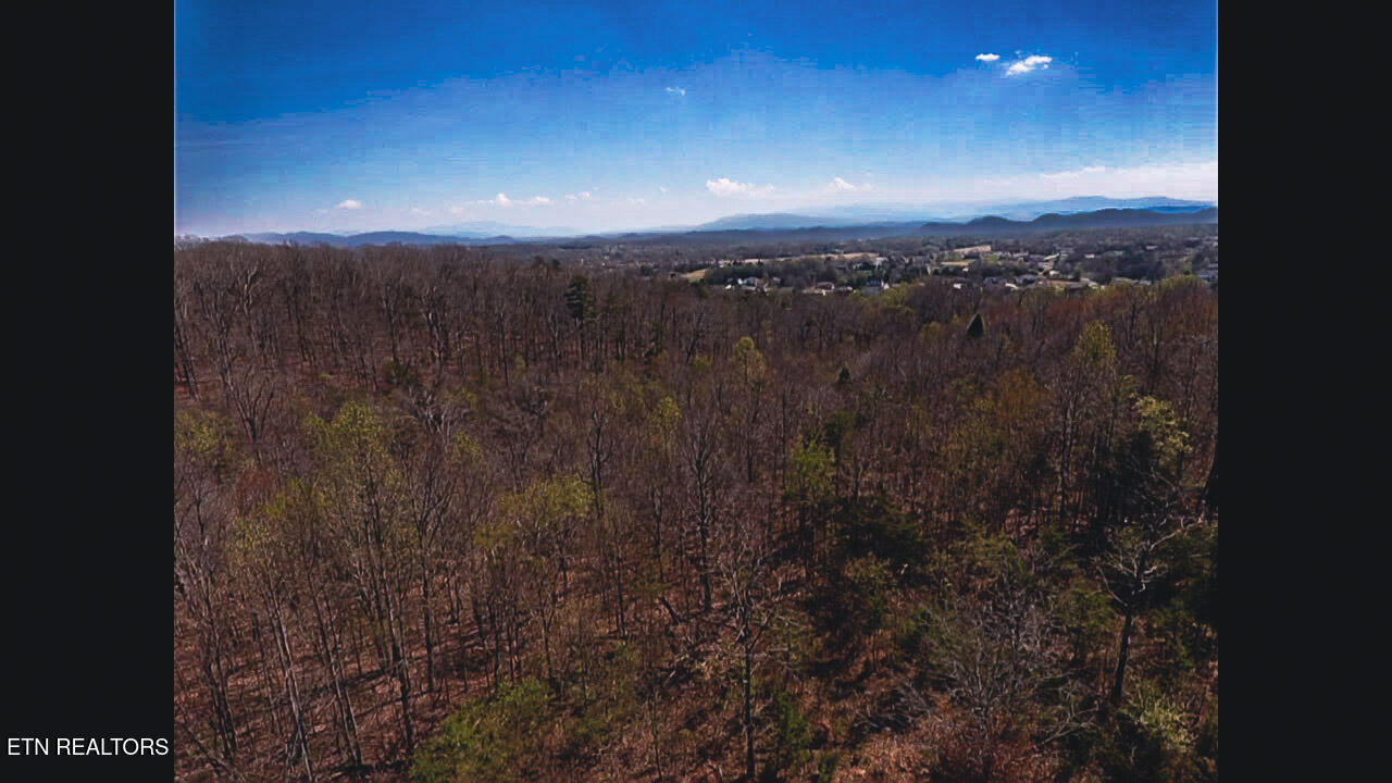 317 Mountain View Drive Vonore TN 37885