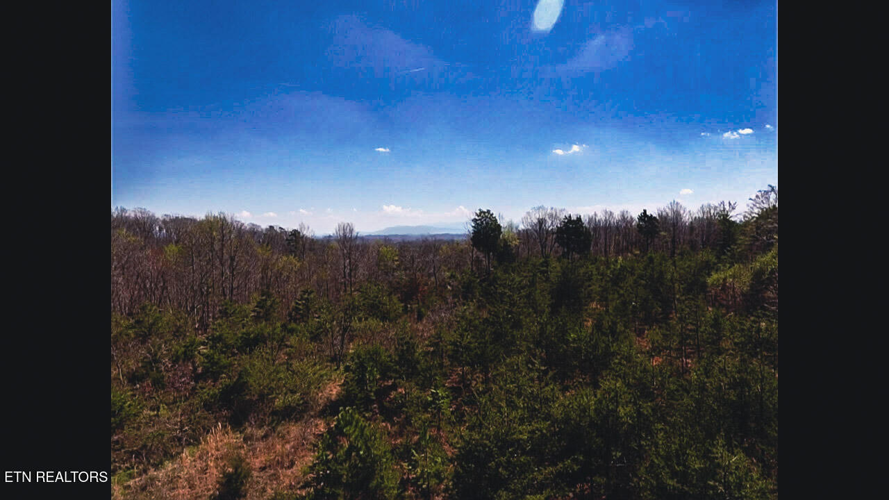 317 Mountain View Drive Vonore TN 37885