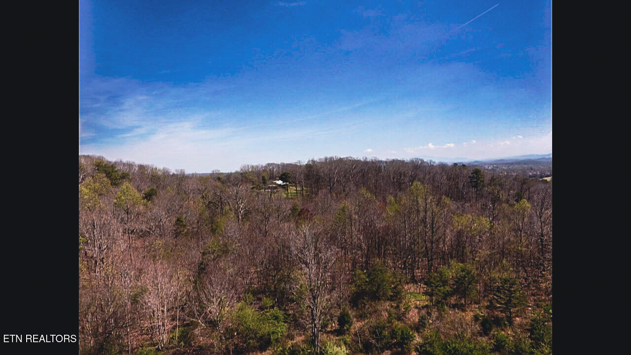 317 Mountain View Drive Vonore TN 37885