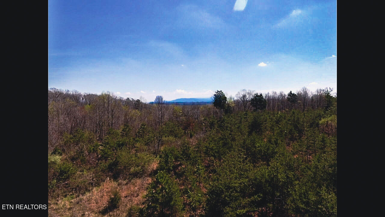 317 Mountain View Drive Vonore TN 37885