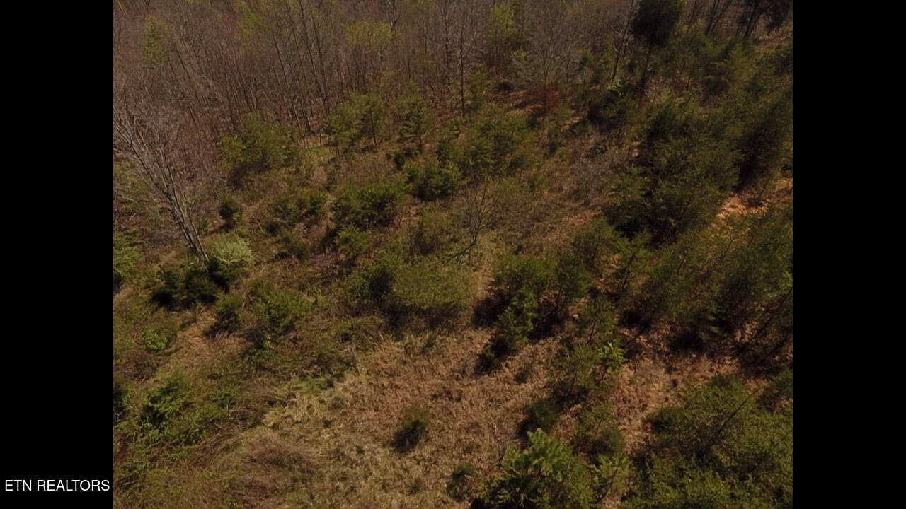 317 Mountain View Drive Vonore TN 37885