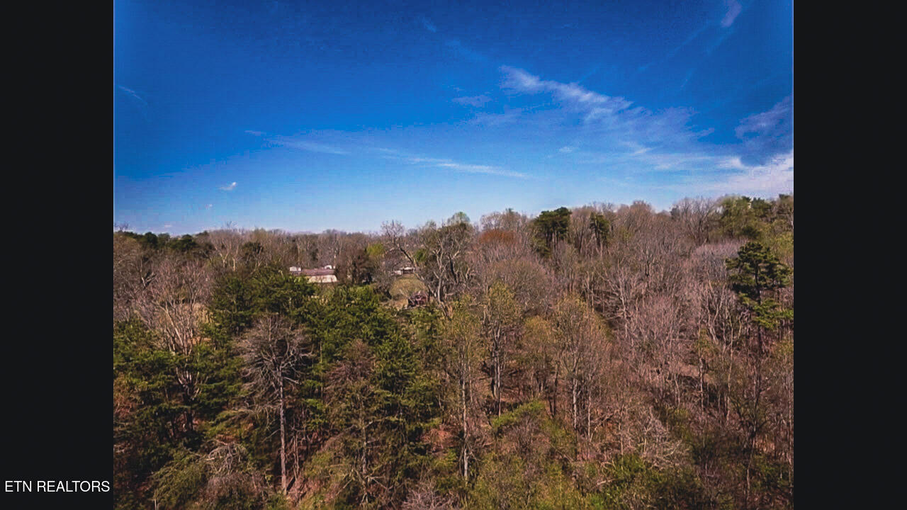 317 Mountain View Drive Vonore TN 37885