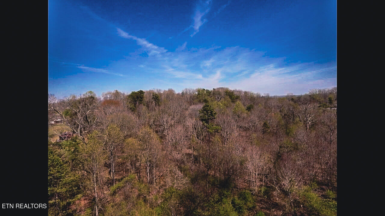 317 Mountain View Drive Vonore TN 37885