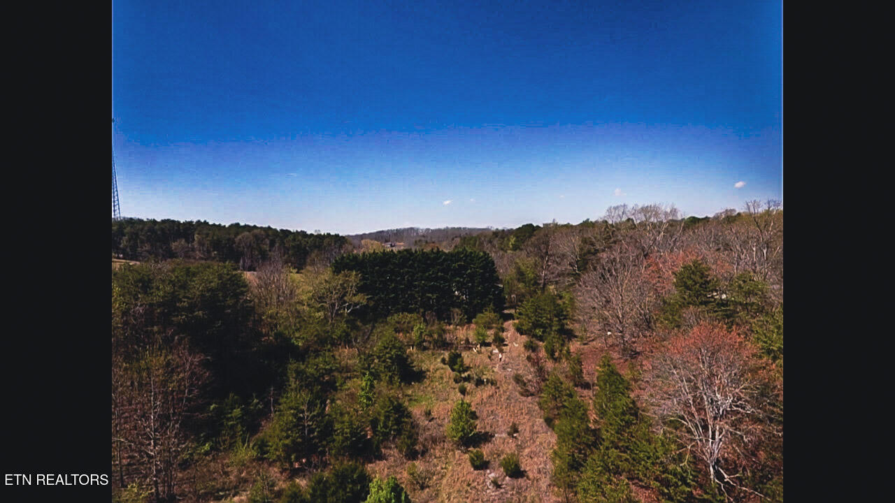 317 Mountain View Drive Vonore TN 37885