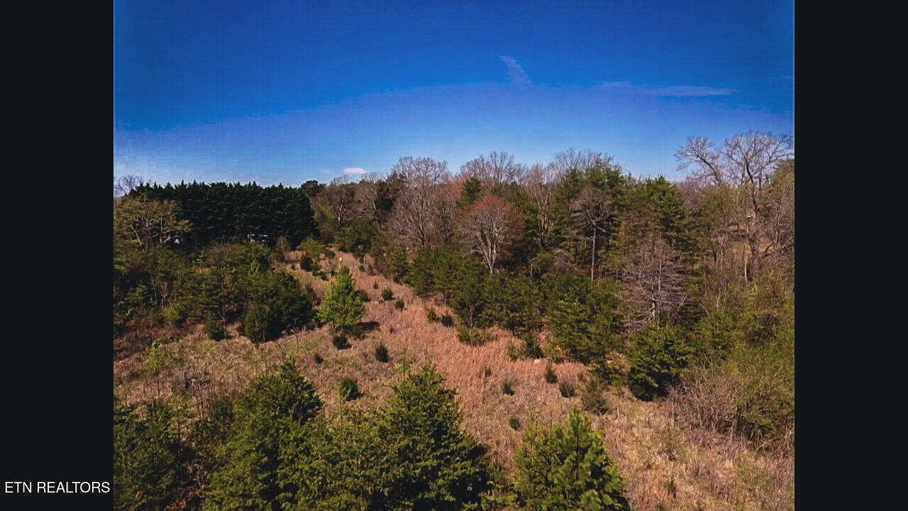317 Mountain View Drive Vonore TN 37885