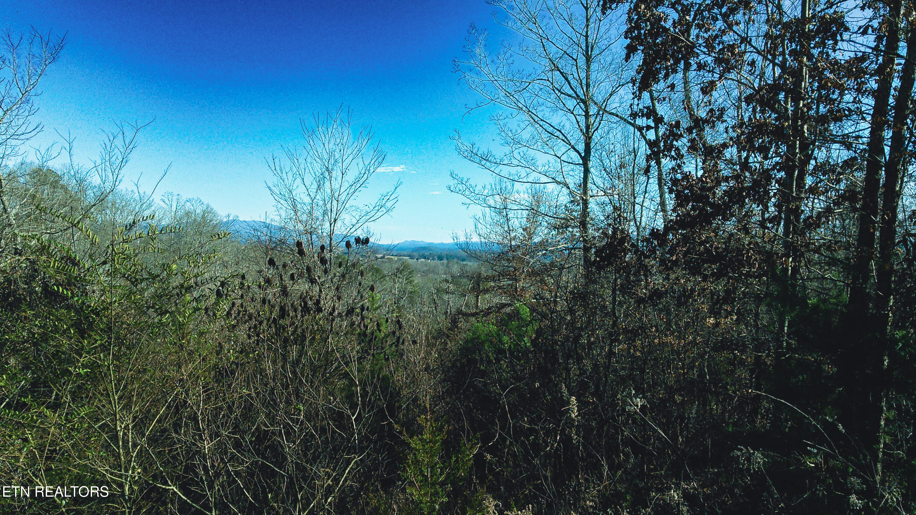 317 Mountain View Drive Vonore TN 37885
