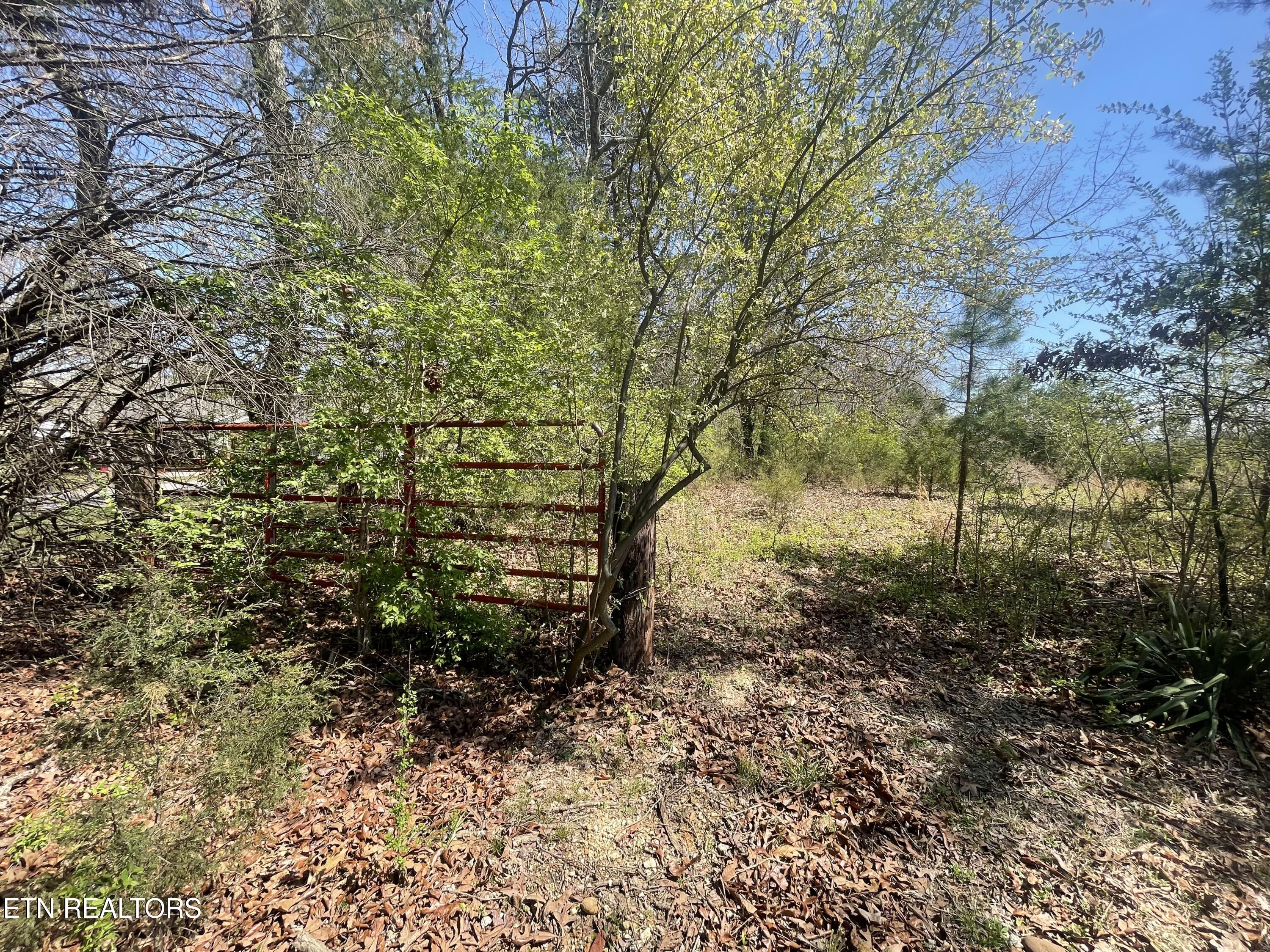 317 Mountain View Drive Vonore TN 37885