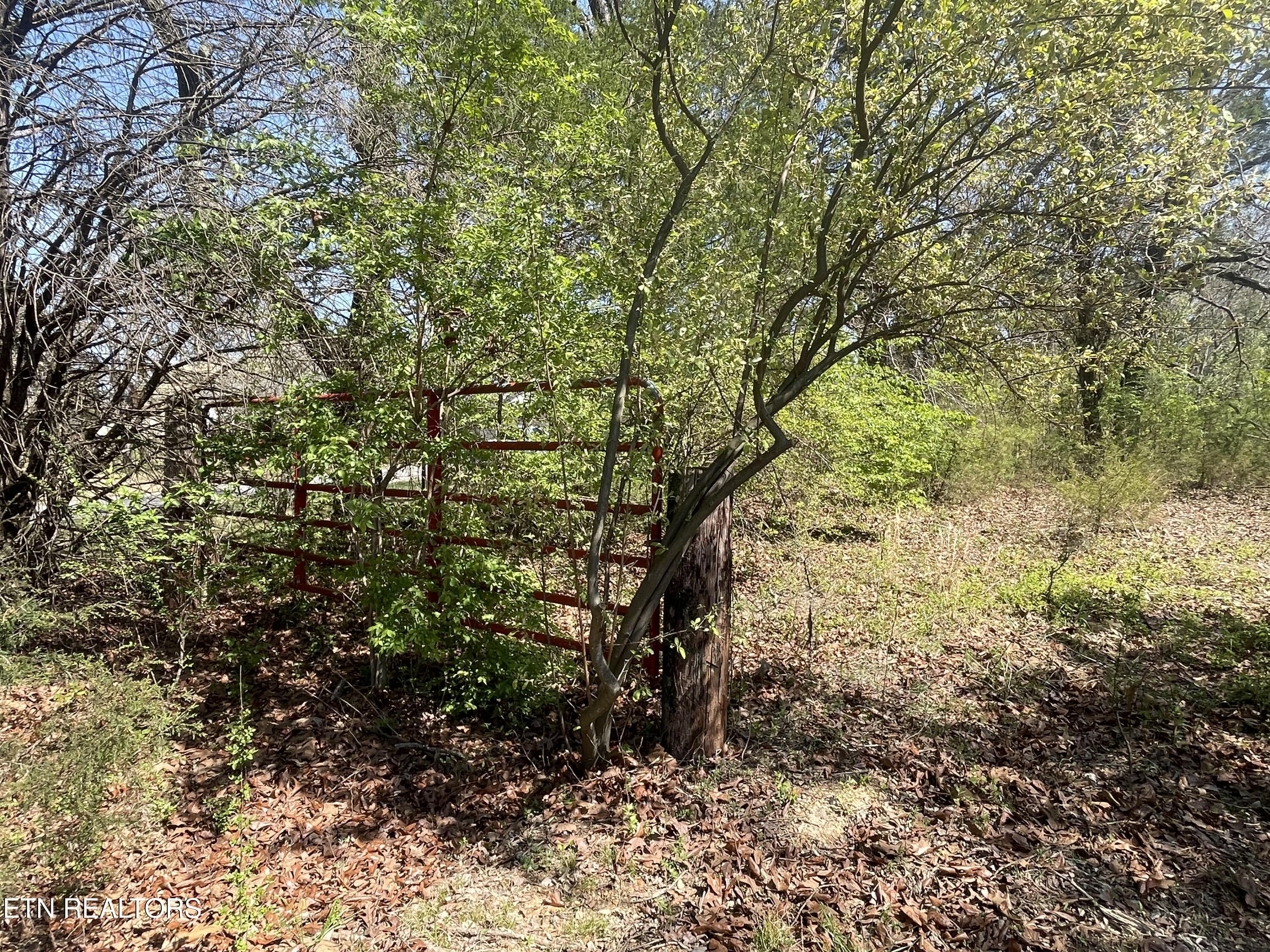 317 Mountain View Drive Vonore TN 37885