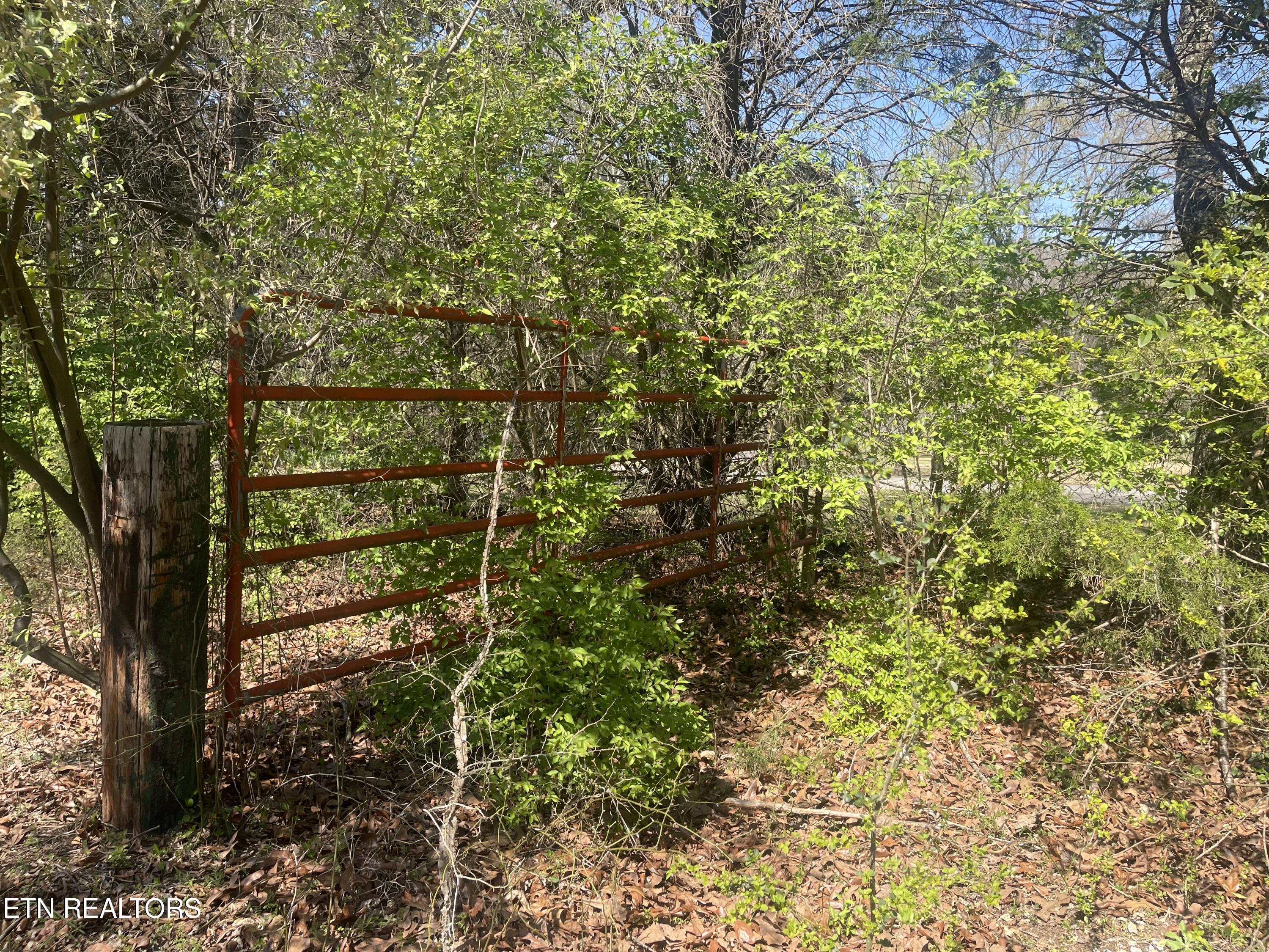 317 Mountain View Drive Vonore TN 37885