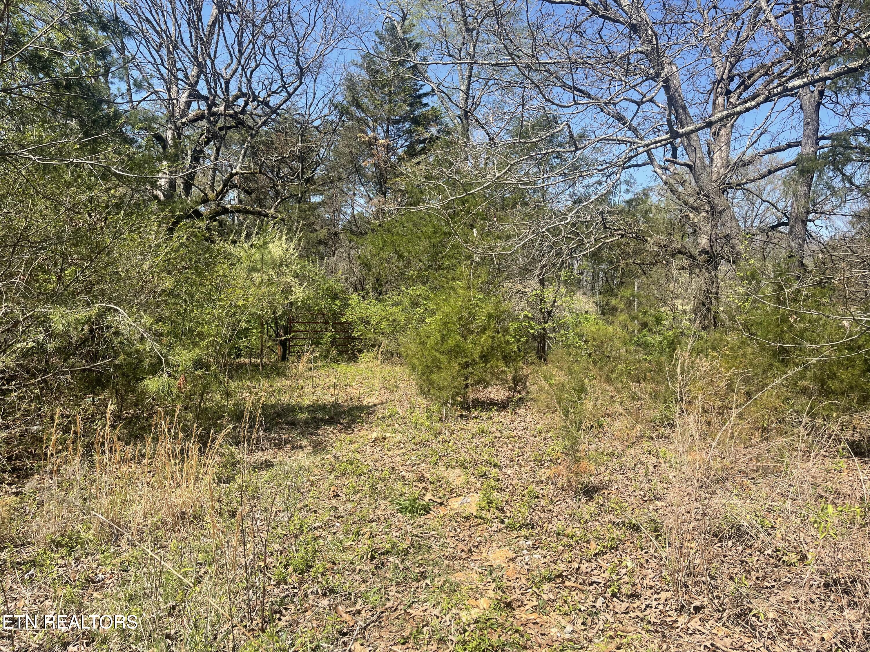 317 Mountain View Drive Vonore TN 37885