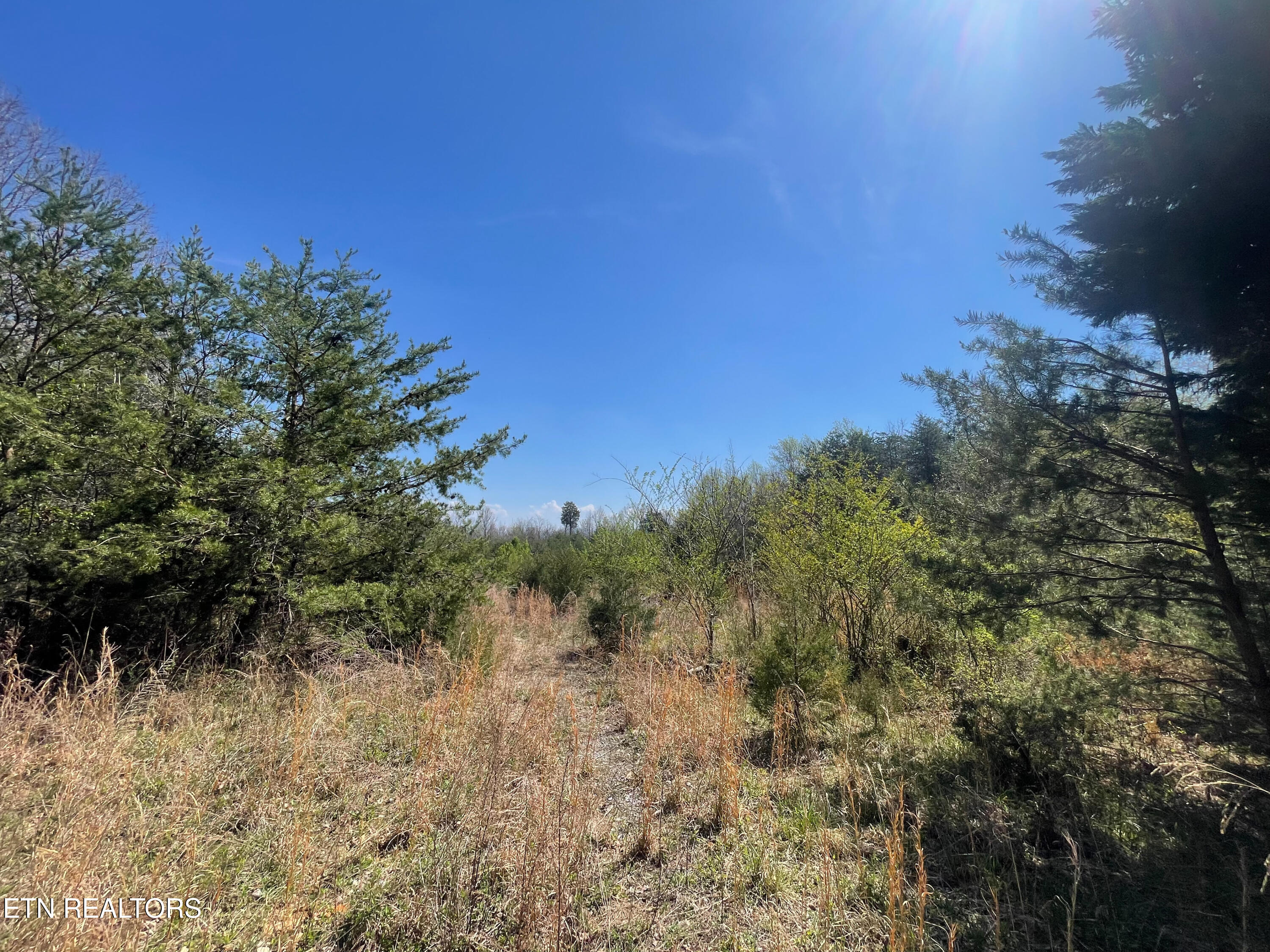 317 Mountain View Drive Vonore TN 37885