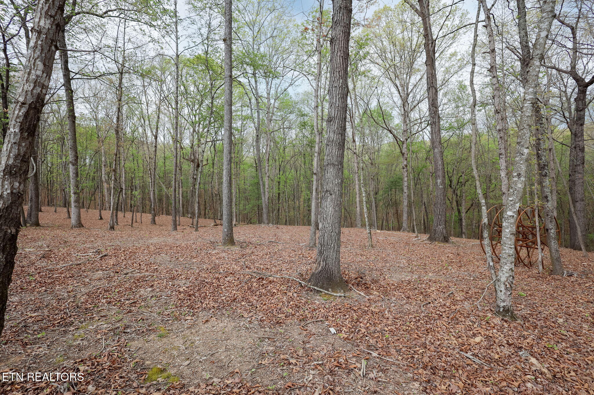 289 Flip Flop Way Loudon TN 37774