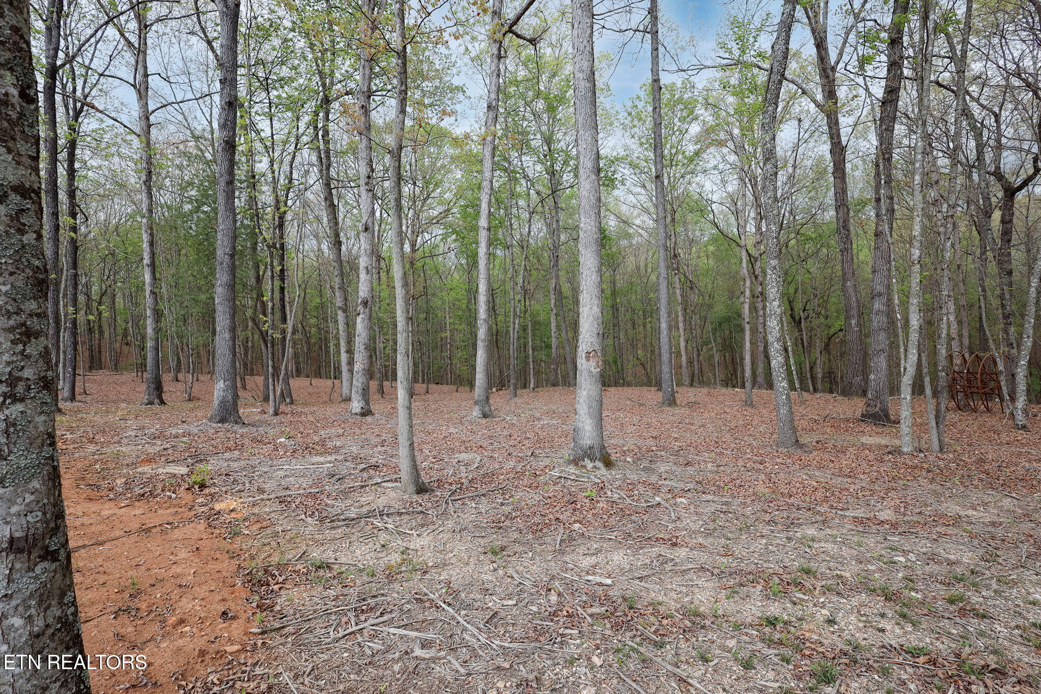 289 Flip Flop Way Loudon TN 37774