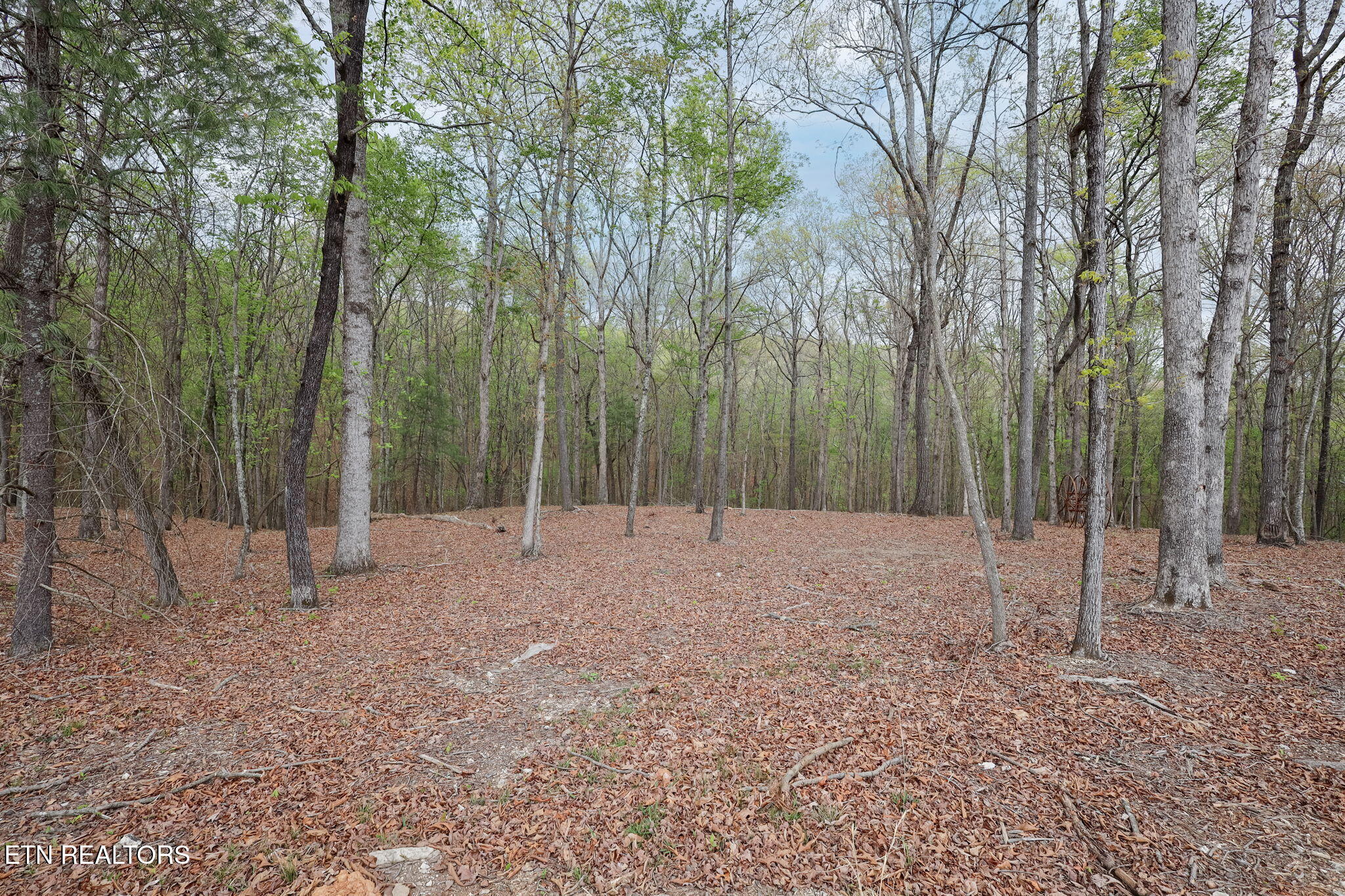 289 Flip Flop Way Loudon TN 37774