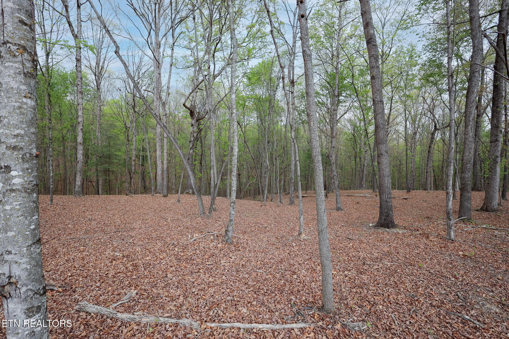 289 Flip Flop Way Loudon TN 37774