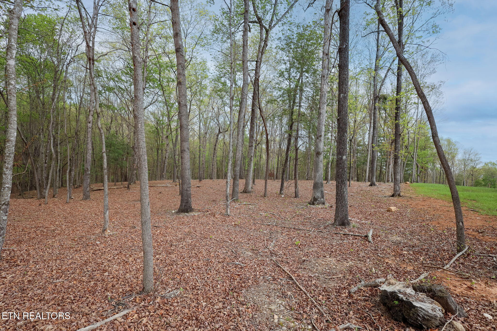 289 Flip Flop Way Loudon TN 37774