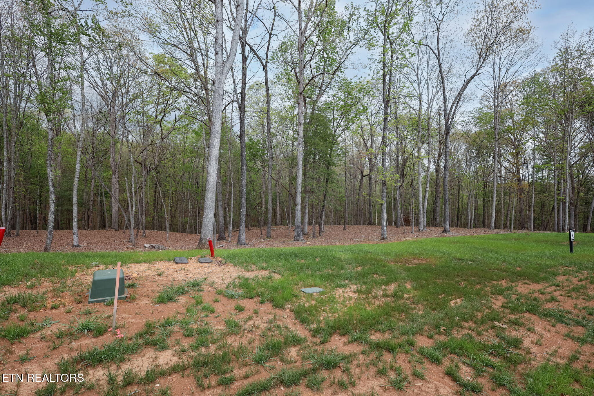 289 Flip Flop Way Loudon TN 37774